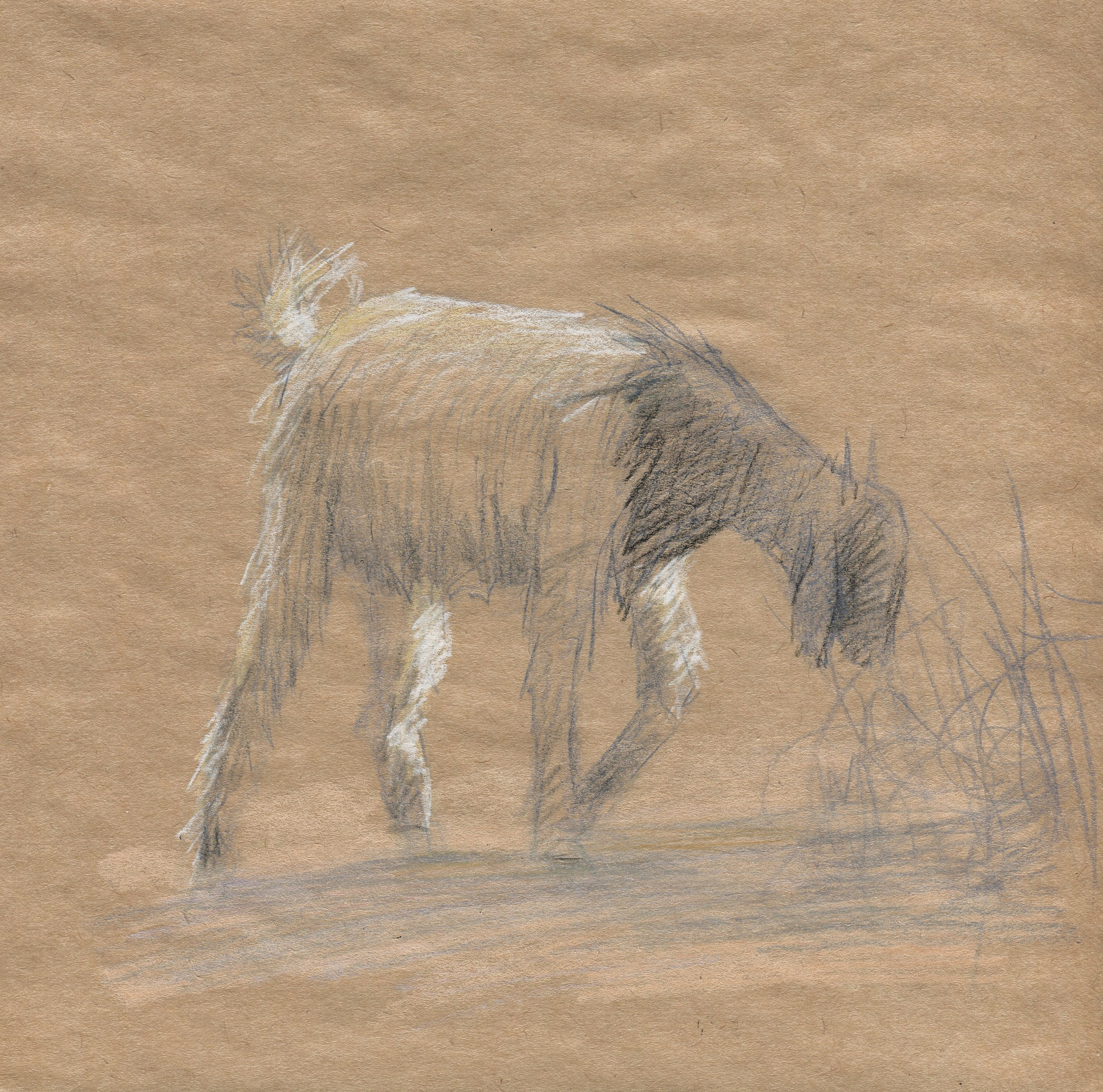 Животные. Художник, иллюстратор и комиксист Азизова Елена