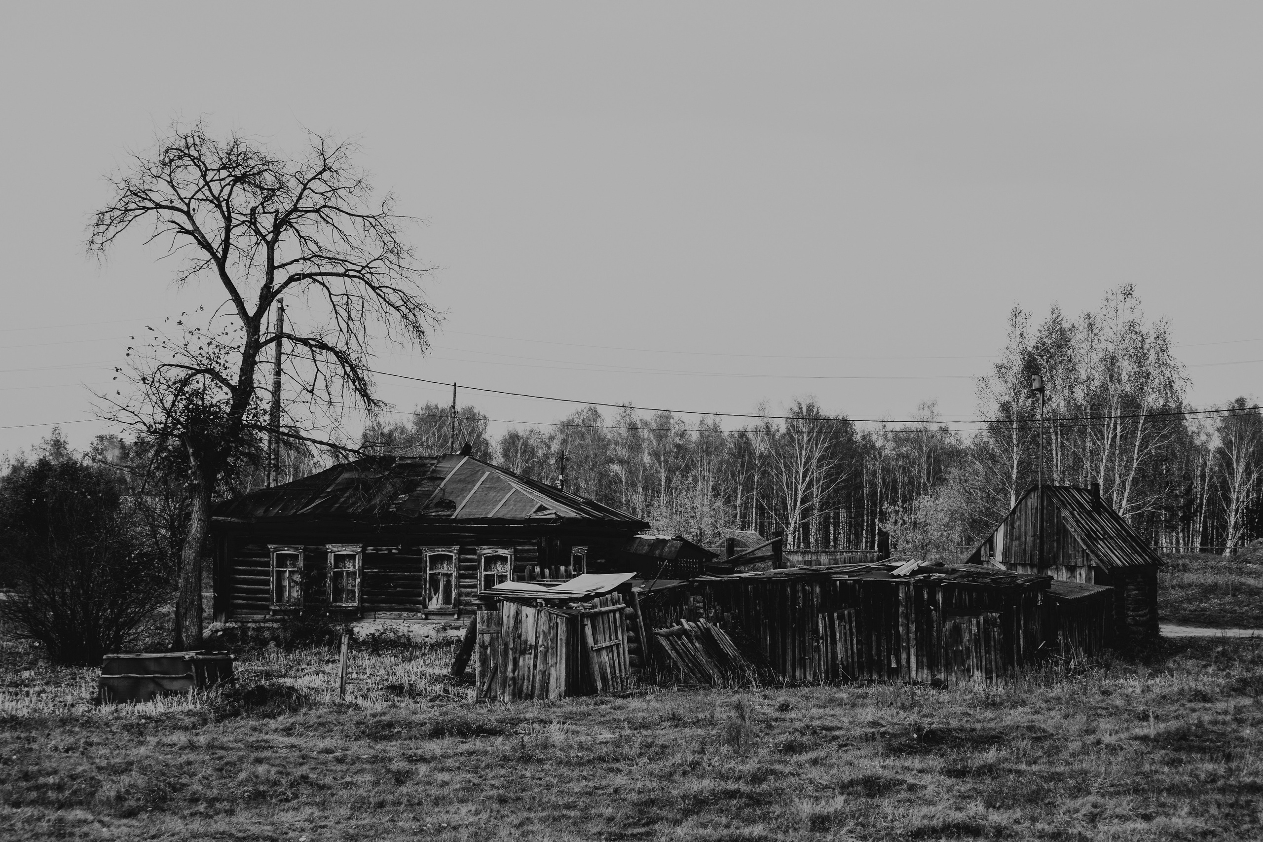 Natural Noir. Whoii art