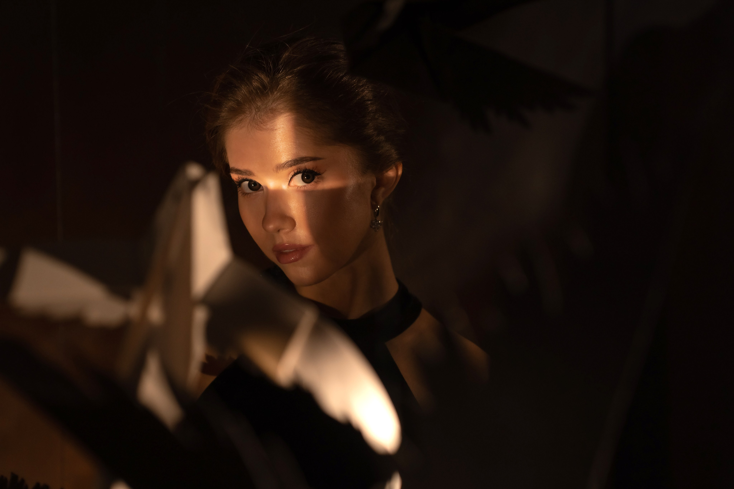 Анастасия (оммаж «Птицы»). Главная