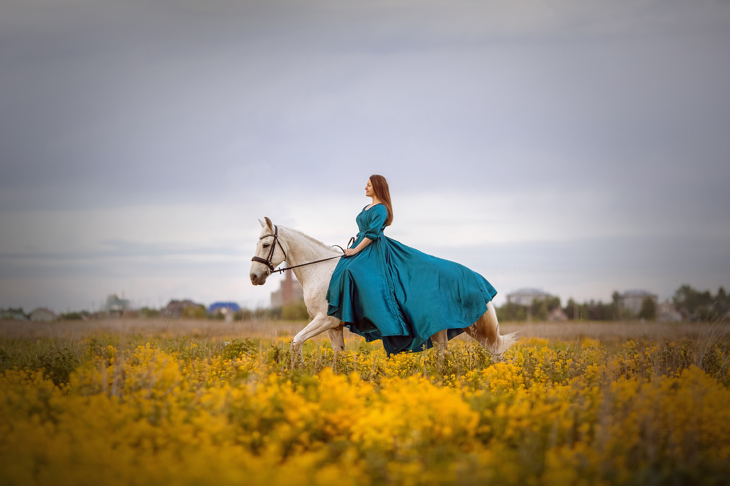 Фотосессия с лошадью в желтом цветущем поле