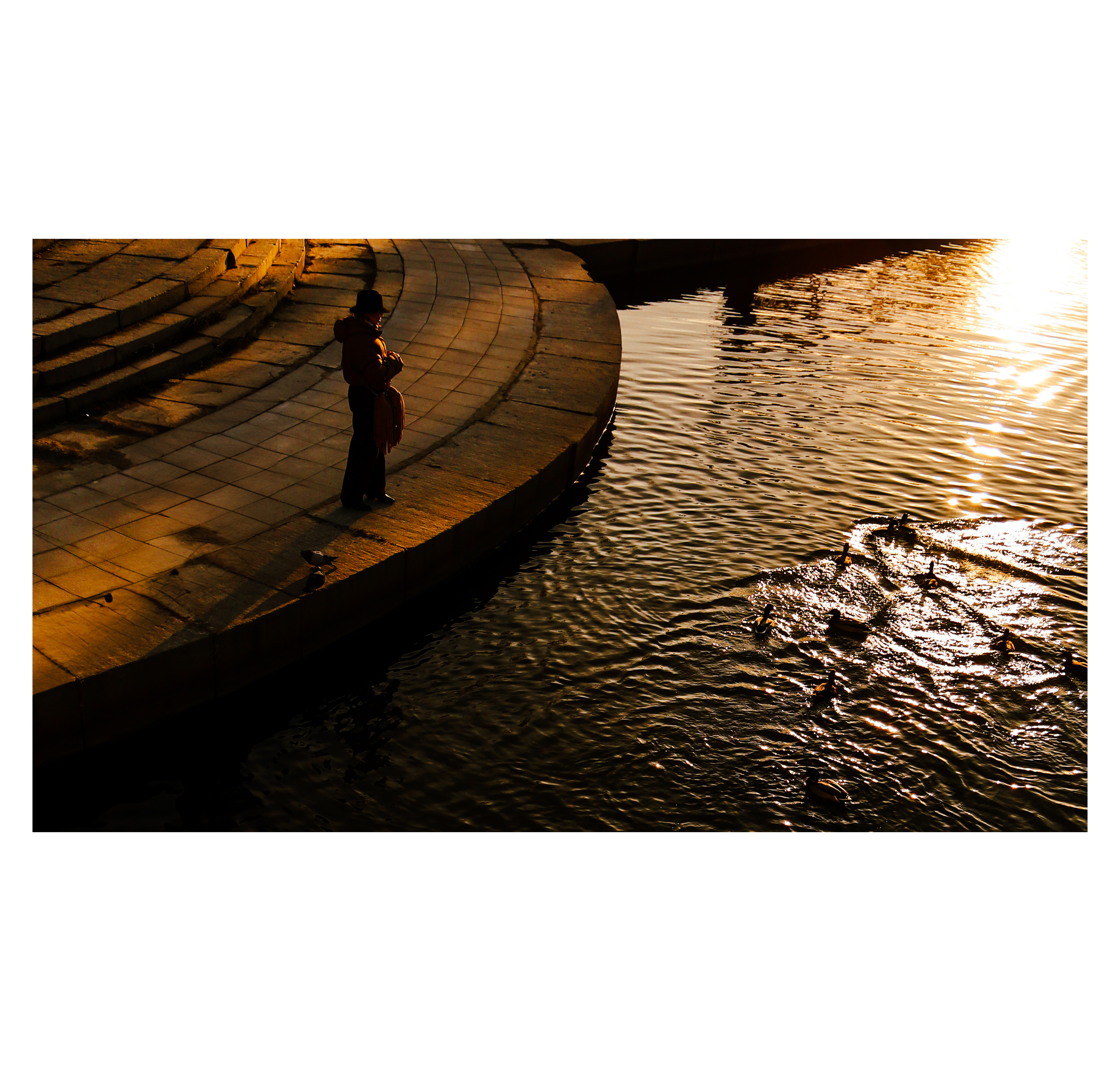 Shades of autumn. Фотограф/дизайнер в Екатеринбурге Хитрый Дмитрий