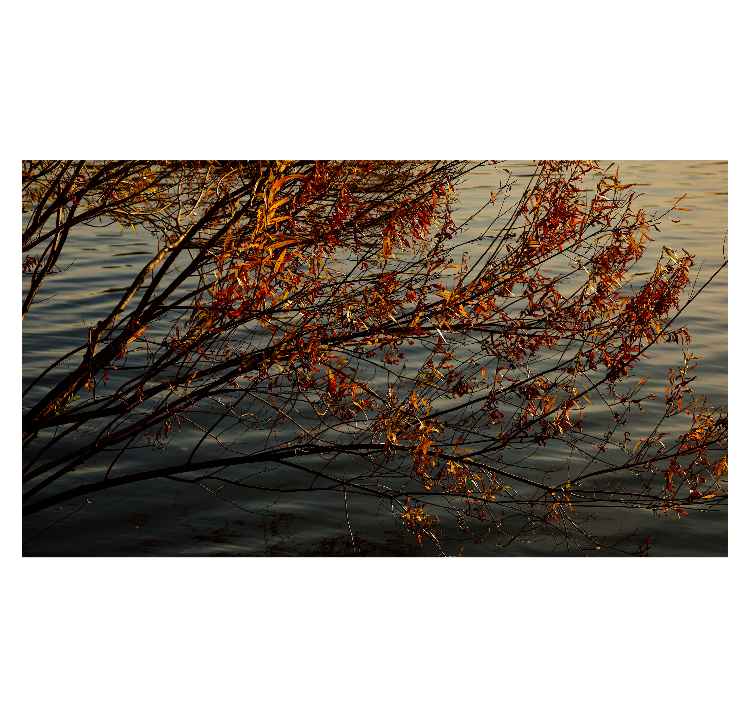 Shades of autumn. Фотограф/дизайнер в Екатеринбурге Хитрый Дмитрий