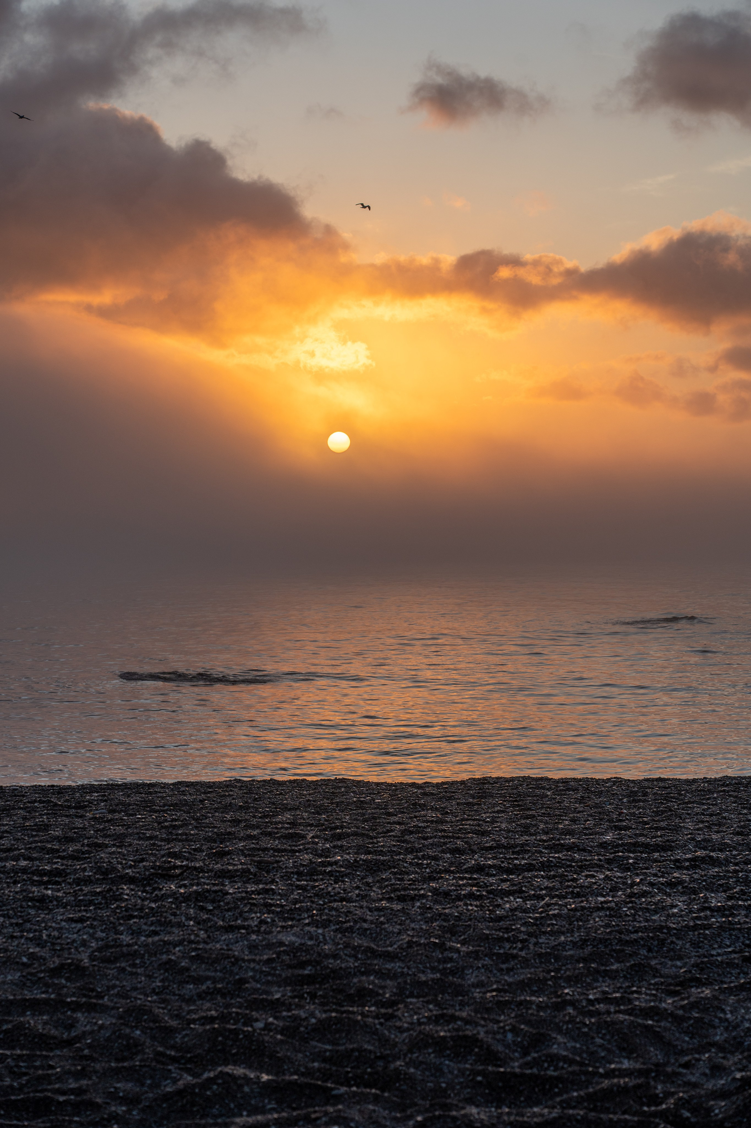 Сахалин 2025. Творческие сьемки