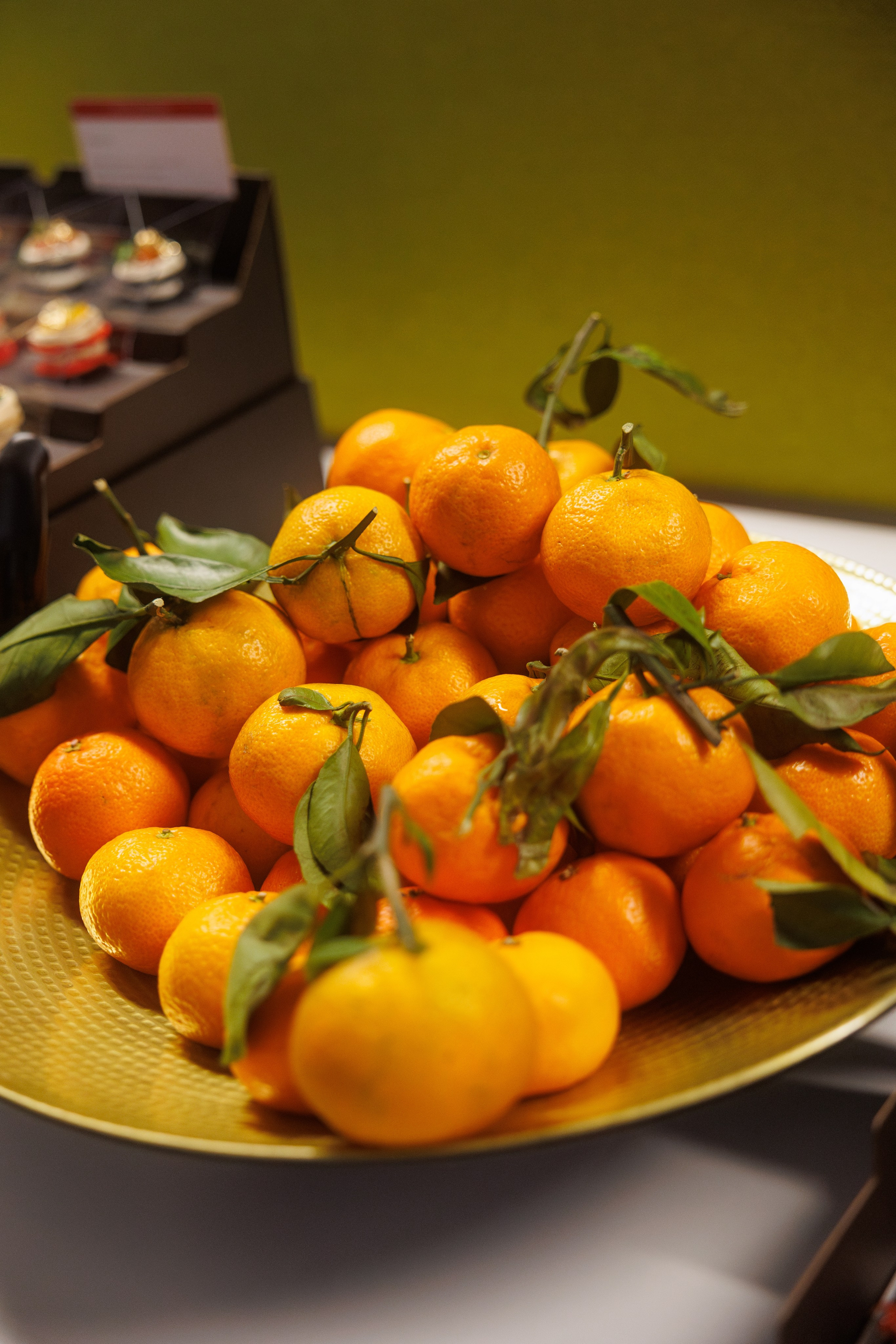 Новогодний эфир. Фотограф Александр Тулупов