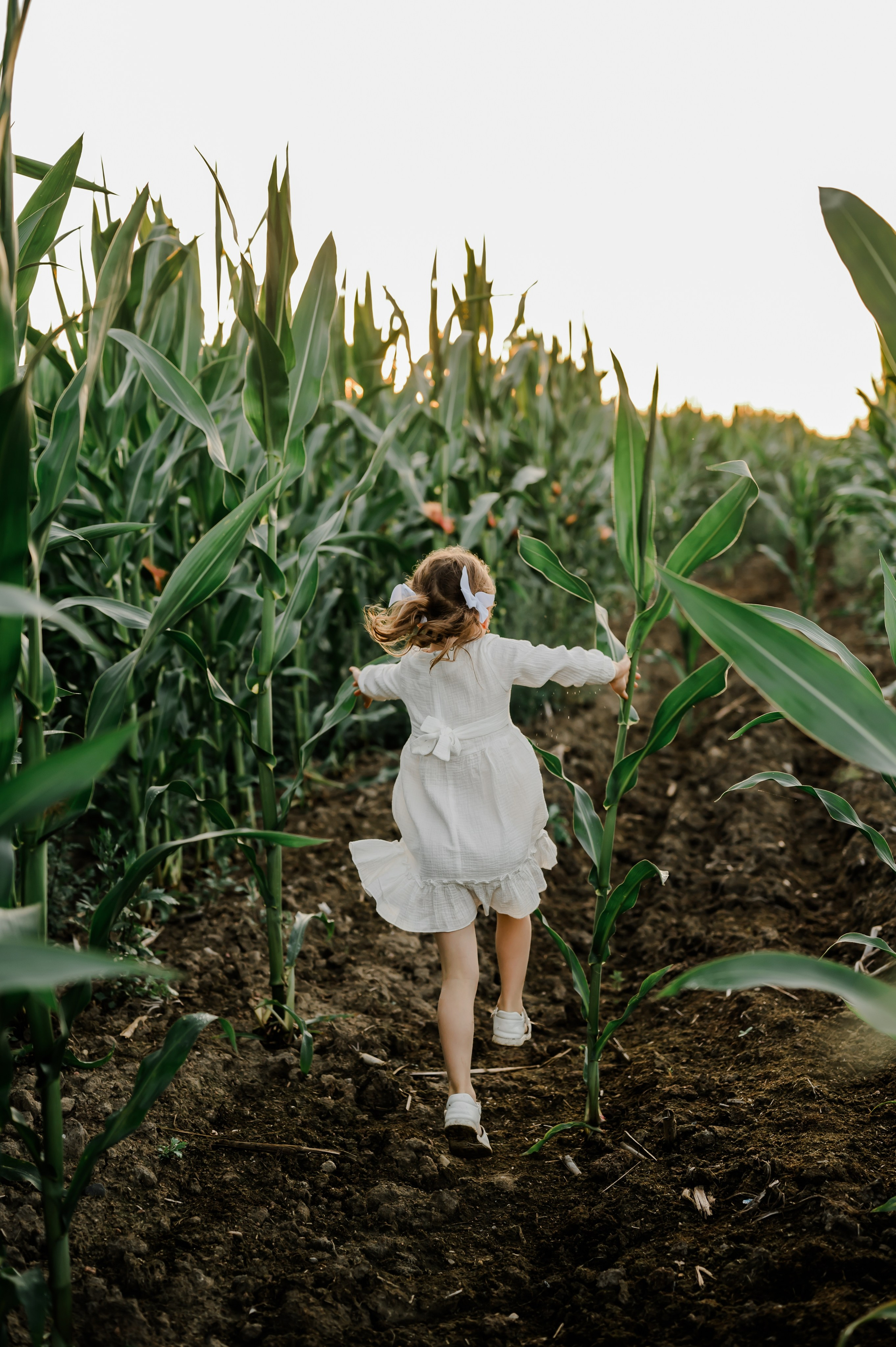 Кукуруза+сено, семейная фотосессия. Свадебный и семейный фотограф Евгения Кононова