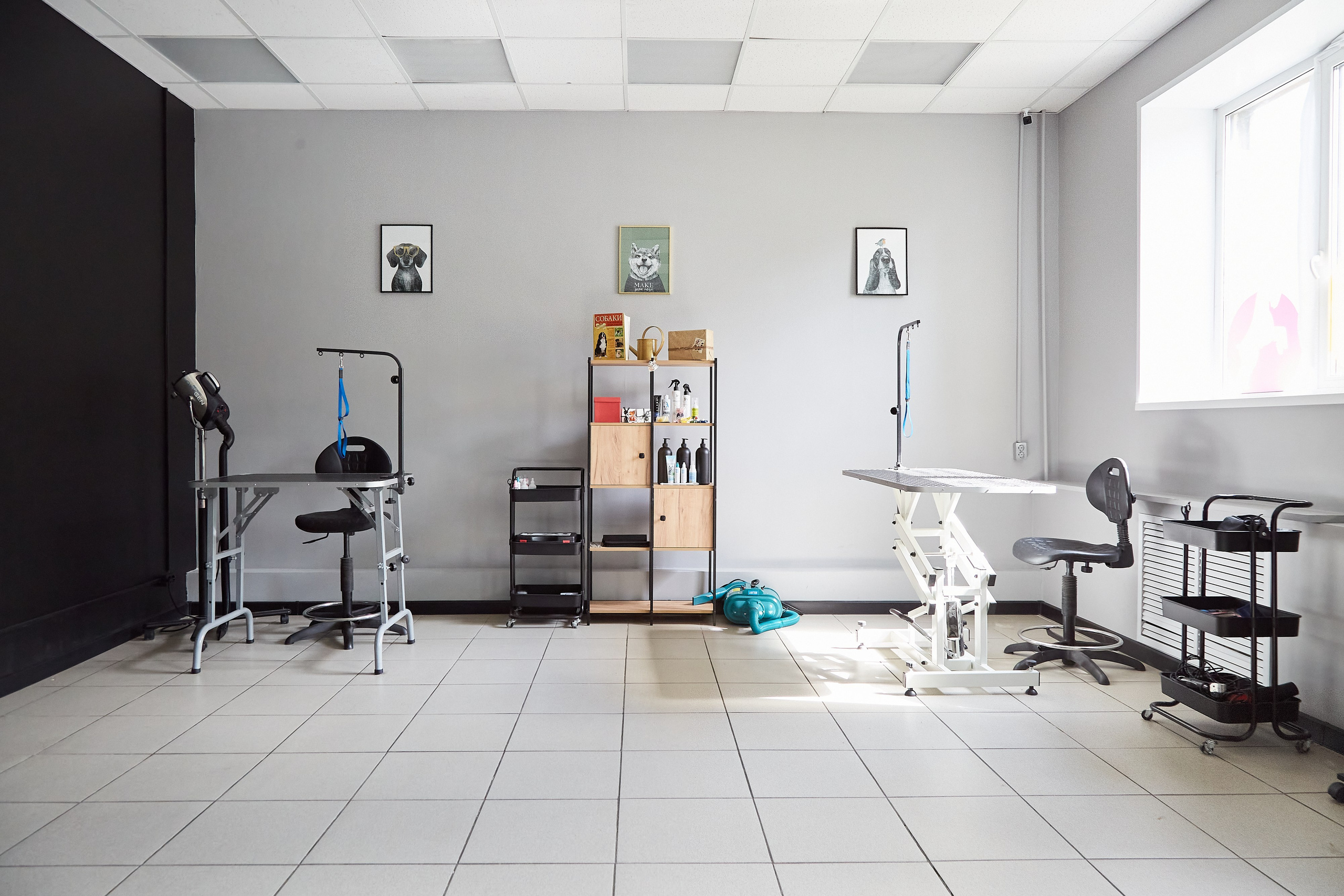 Зоопарикмахерская Avrora Groom. Фотограф Анастасия Леонтьева Санкт-Петербург