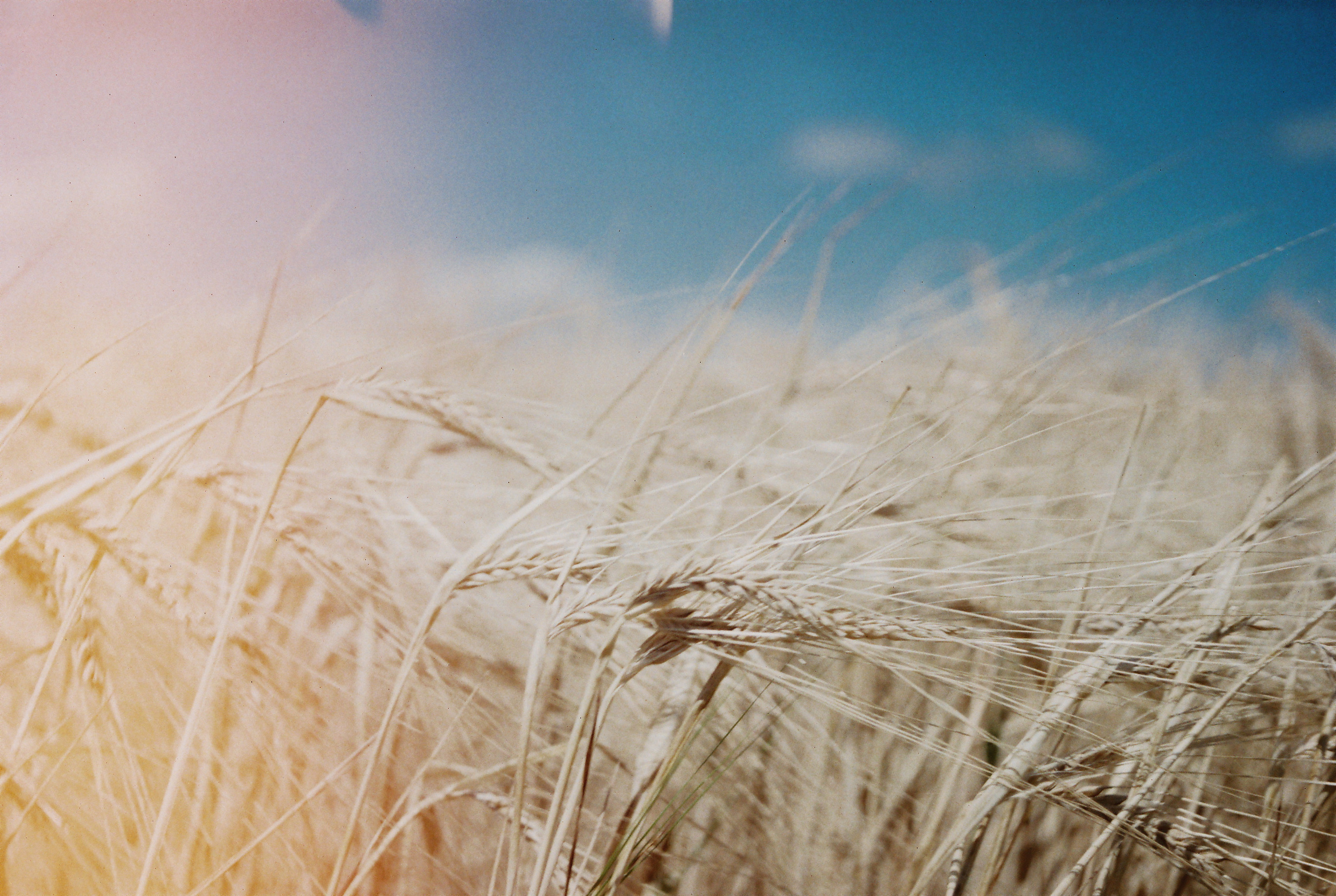 Плёнка. Фотограф Ринат Бархатов | Photographer Rinat Barkhatov