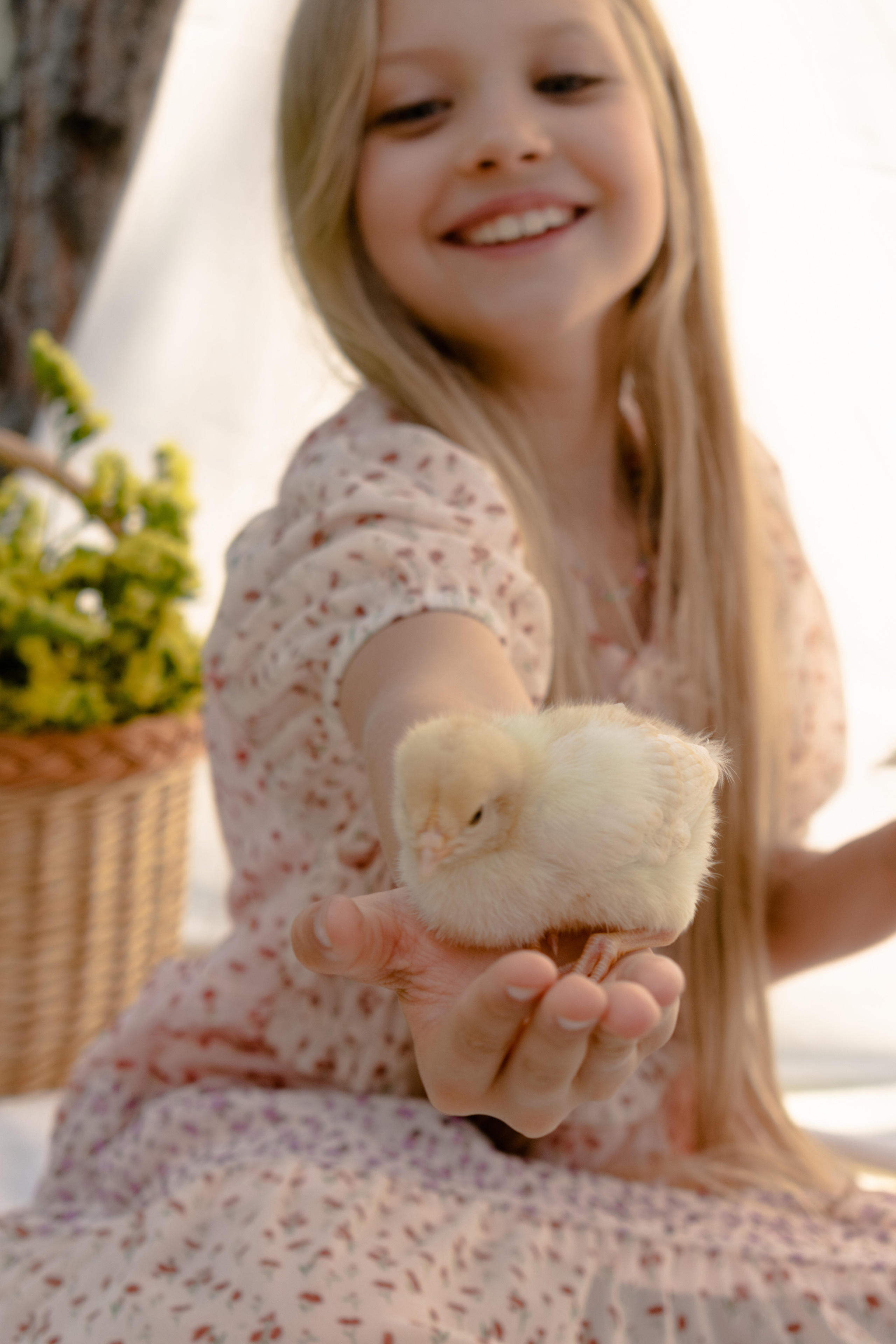 Елена Задорина — семейный, детский и событийный фотограф. Елена Задорина