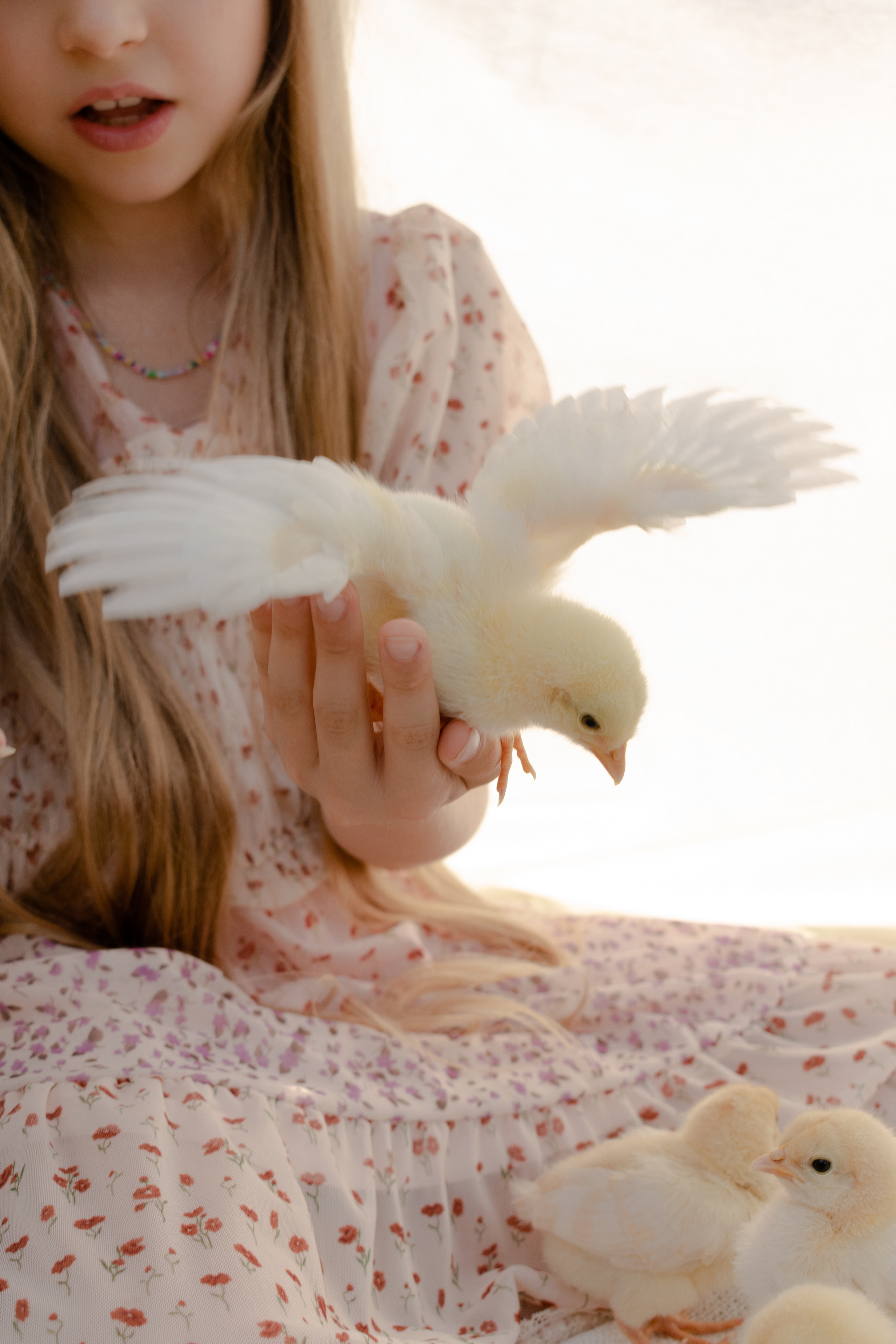 Елена Задорина — семейный, детский и событийный фотограф. Елена Задорина