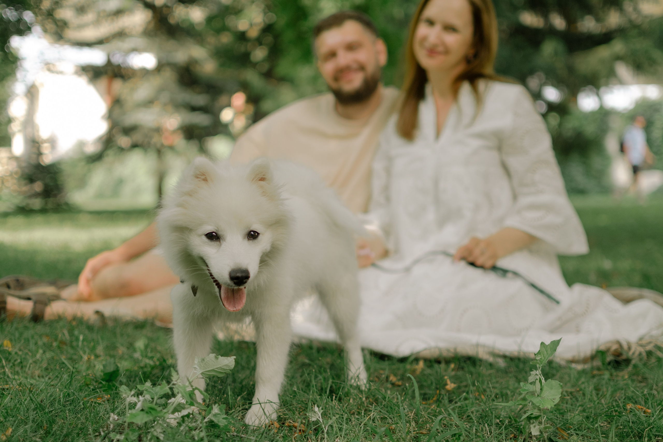 Анонс семейной фотосессии. Семейный фотограф в Самаре Катерина Гущина