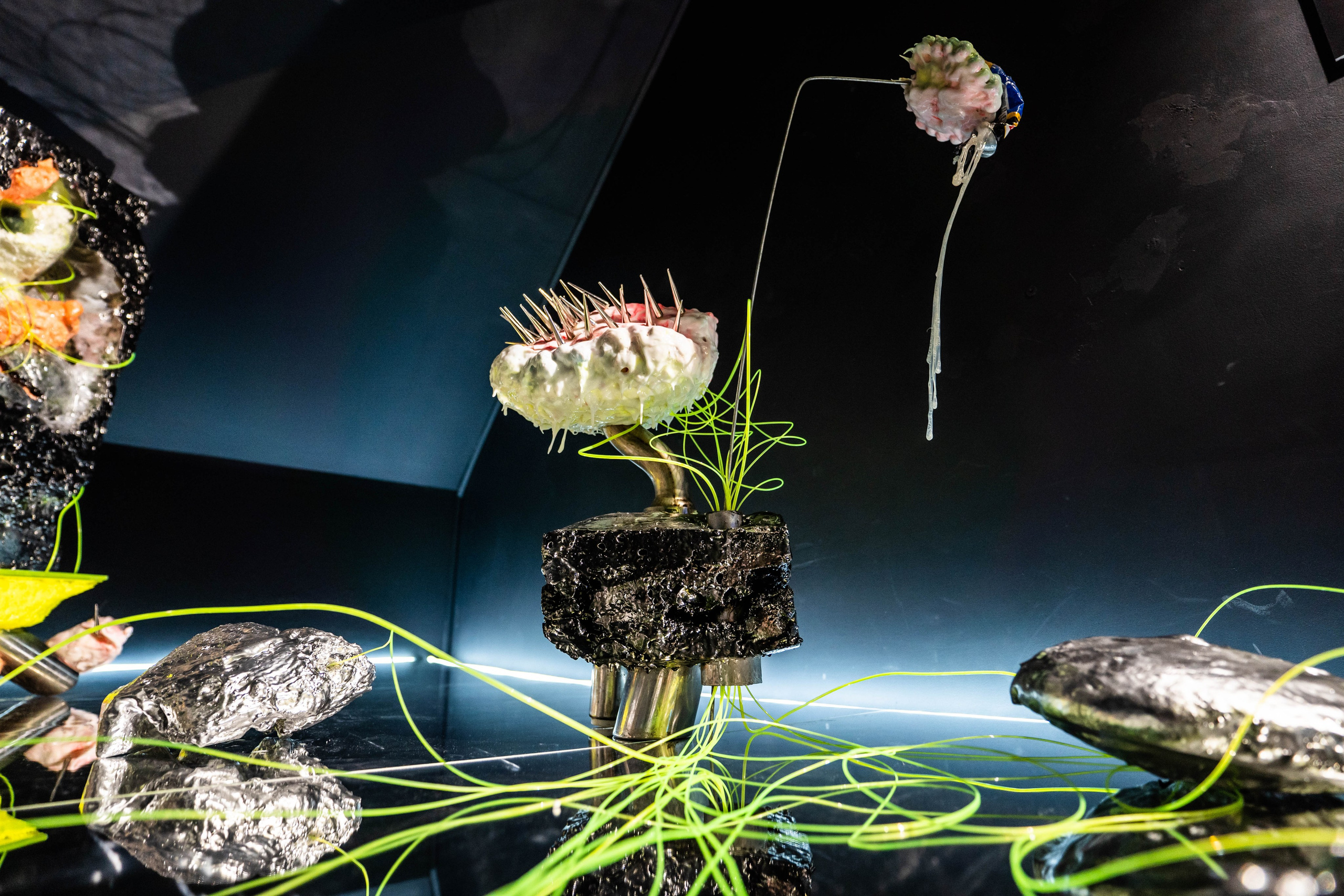 MARS. Фотограф Абакумова Анастасия