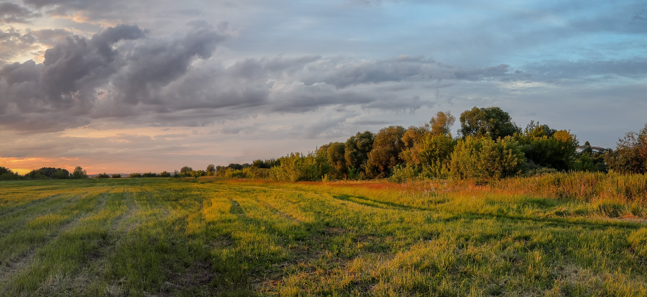 Летний закат в поле