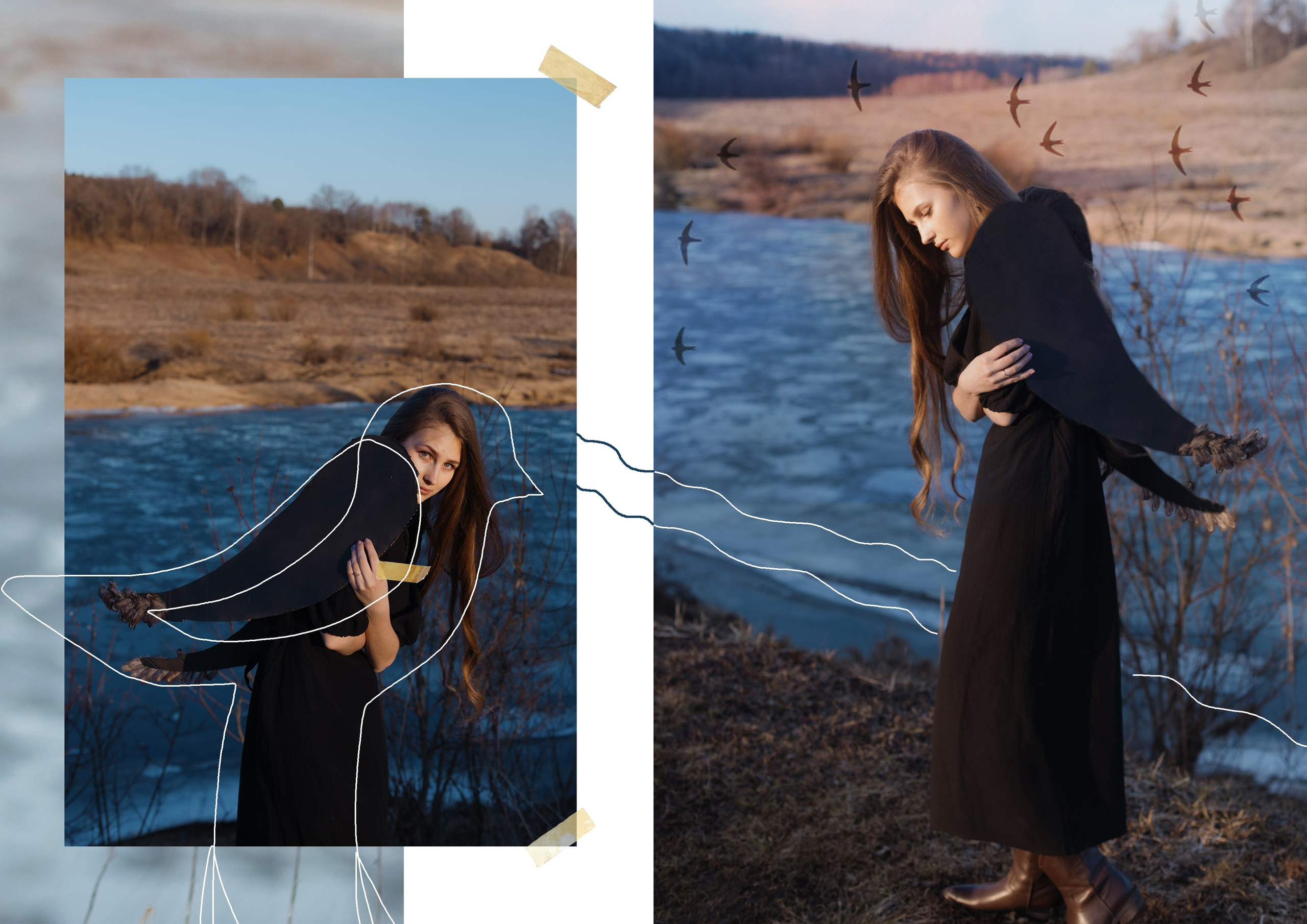 BIRD. Ваш фотограф Любовь Чистякова