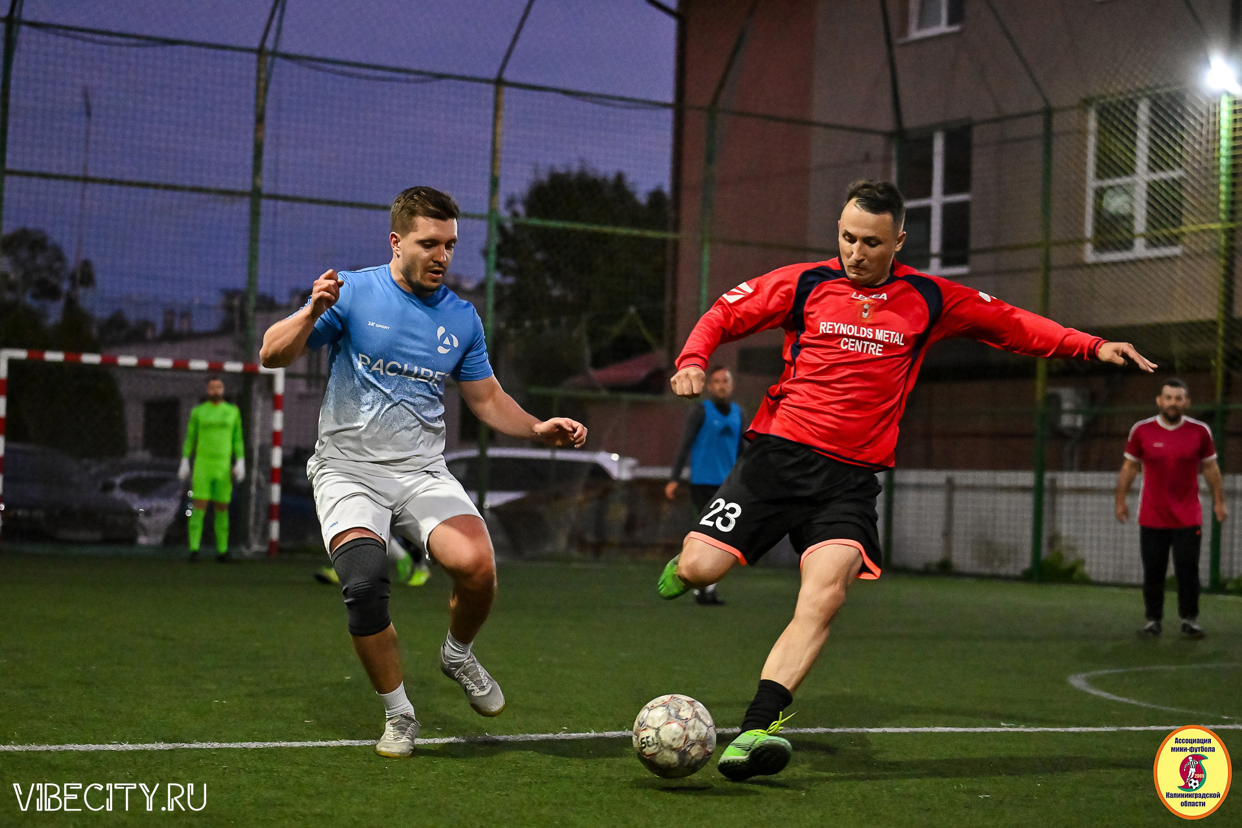 ПЛЕЙ-ОФФ КОРПОРАТИВНОЙ МФЛ И КУБКА МФЛ. VIBECITY.RU Вайб Сити Ру Фоторепортажи Фотоотчеты Калининград