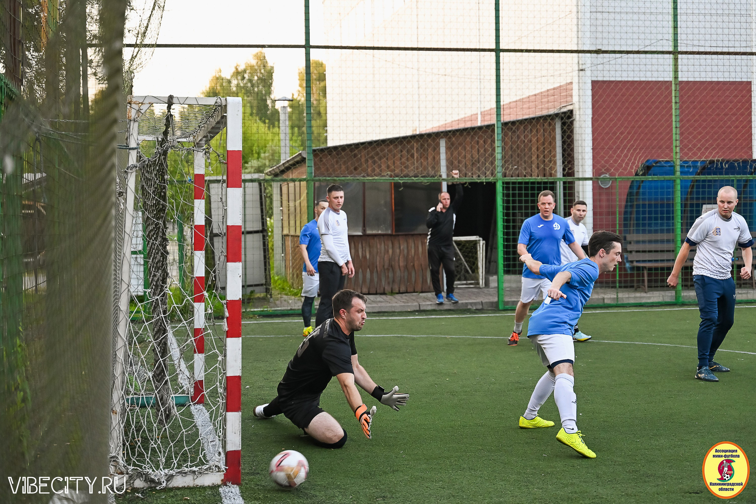 ИГРЫ ПЛЕЙ-ОФФ ПЕРВОГО ДИВИЗИОНА МИНИ-ФУТБОЛЬНОЙ ЛИГИ. VIBECITY.RU Вайб Сити Ру Фоторепортажи Фотоотчеты Калининград