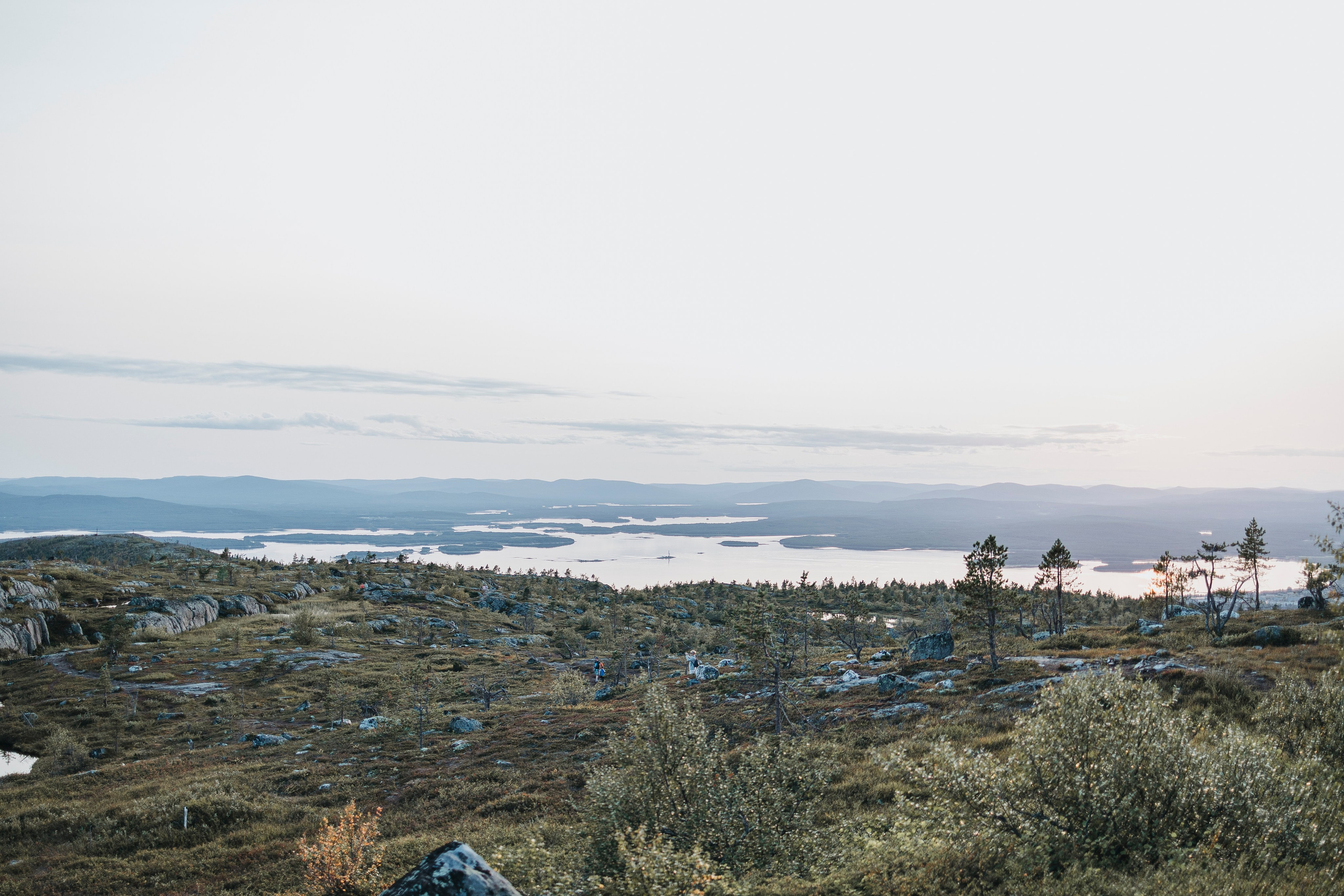 Горы. Фотограф-анималист Анна Маринич