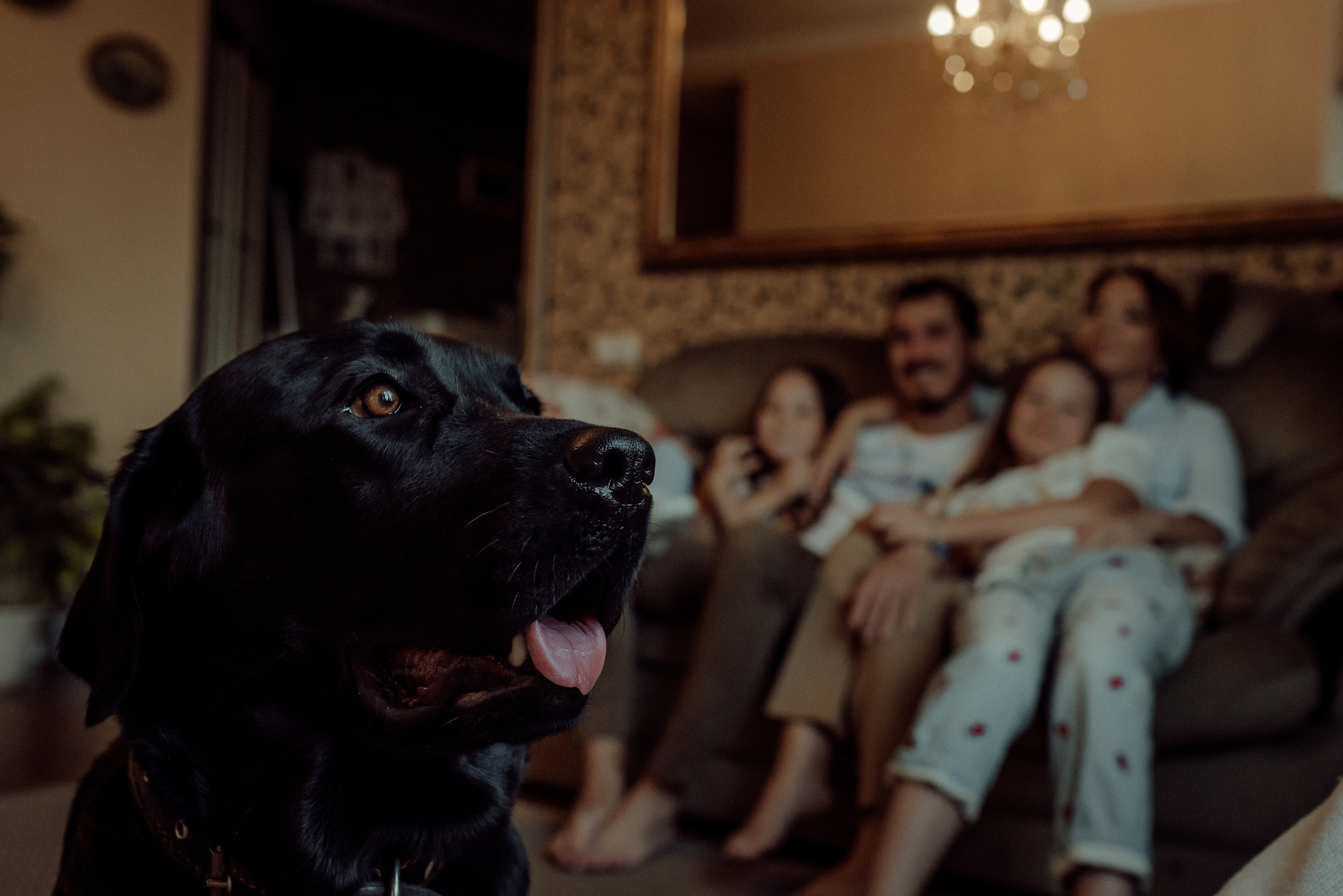 Для Эли, Саши, Амины, Майи, Муси и Джесси. Семейный фотограф в Новомосковске, Туле и Москве Ольга Бубликова