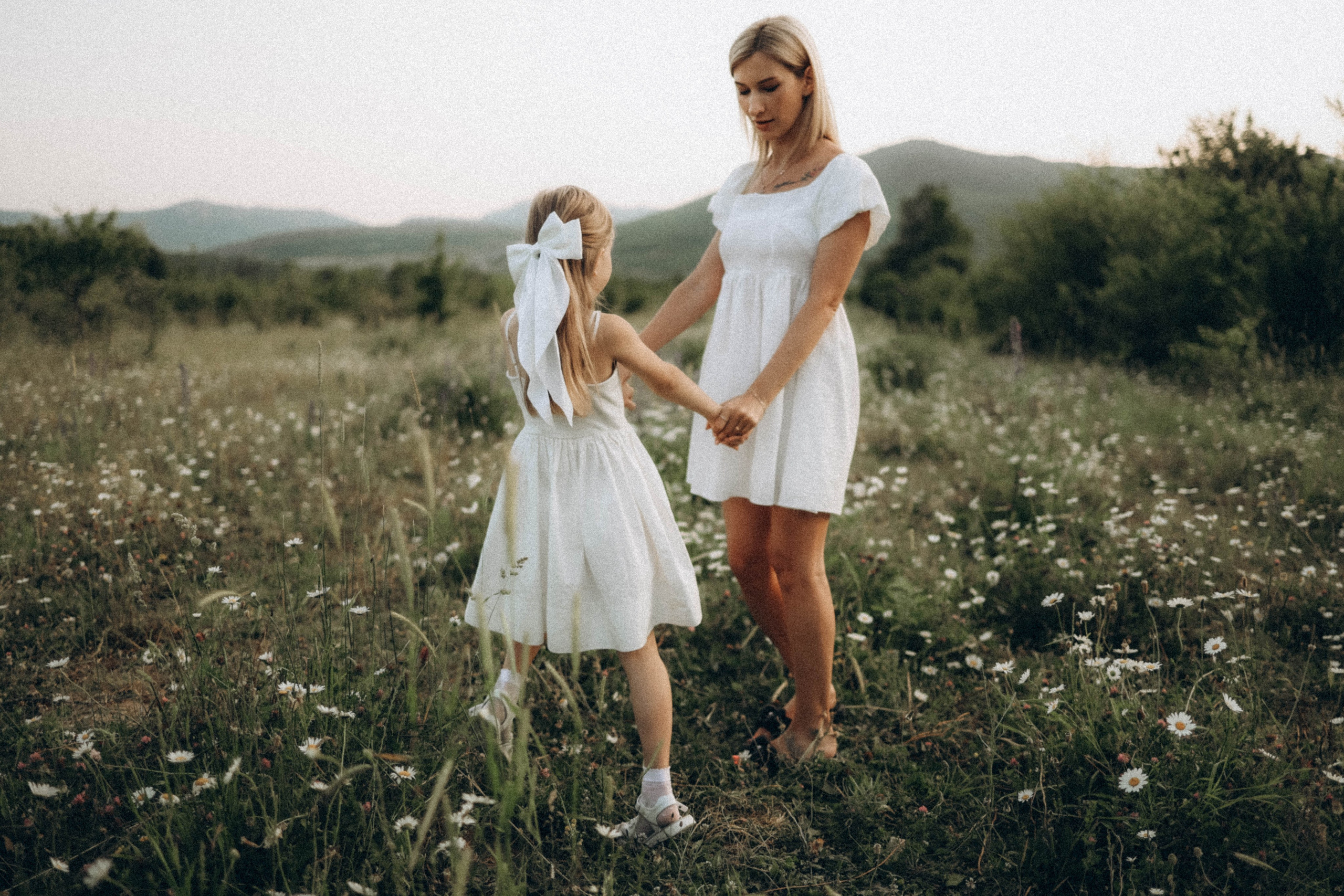 Ромашки. Фотограф Немазенко Ольга