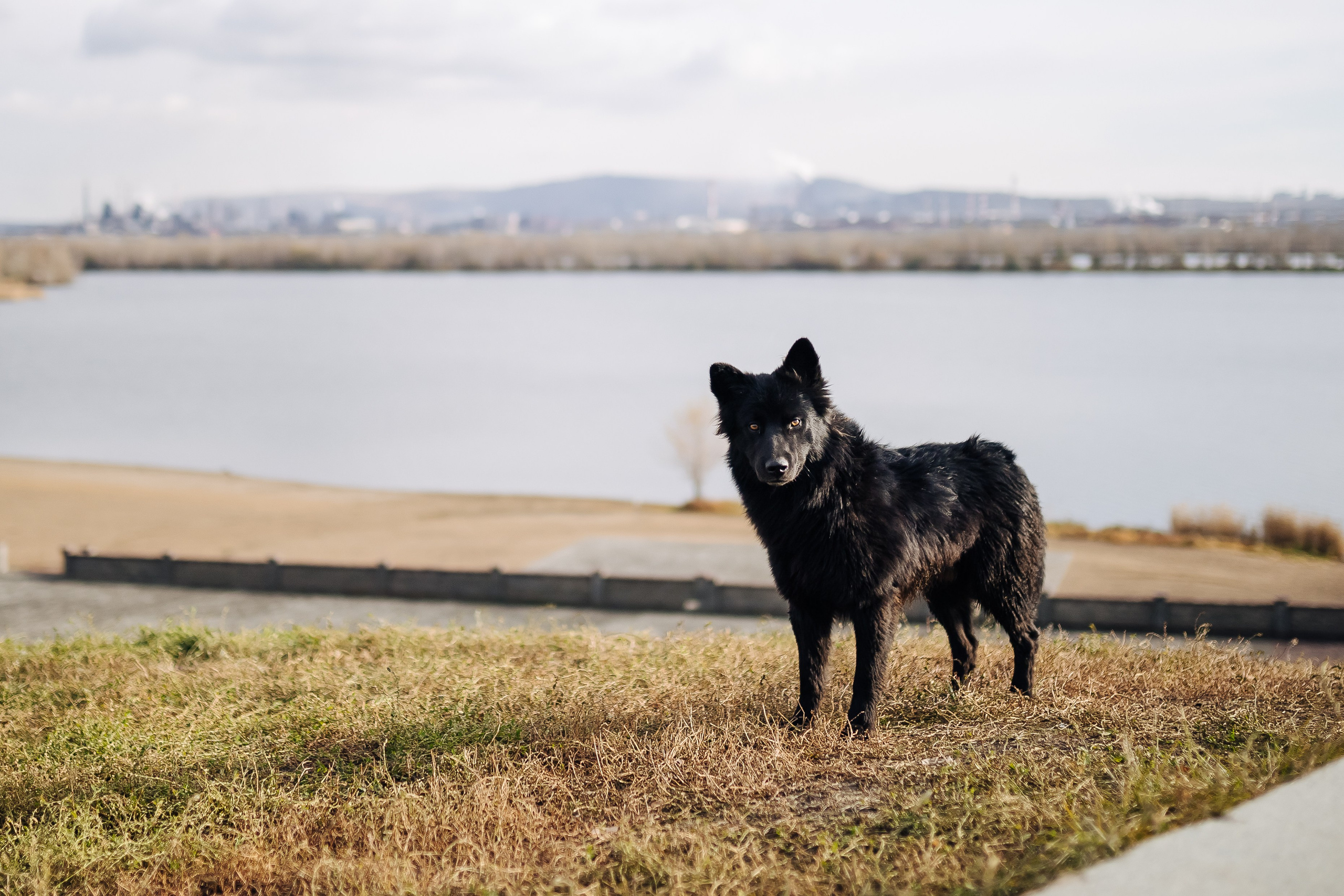 Окружной туристический форум «Айда на Урал» // 24.10 — 27.10.2024. Денис Прохоров Фотограф в г. Магнитогорск