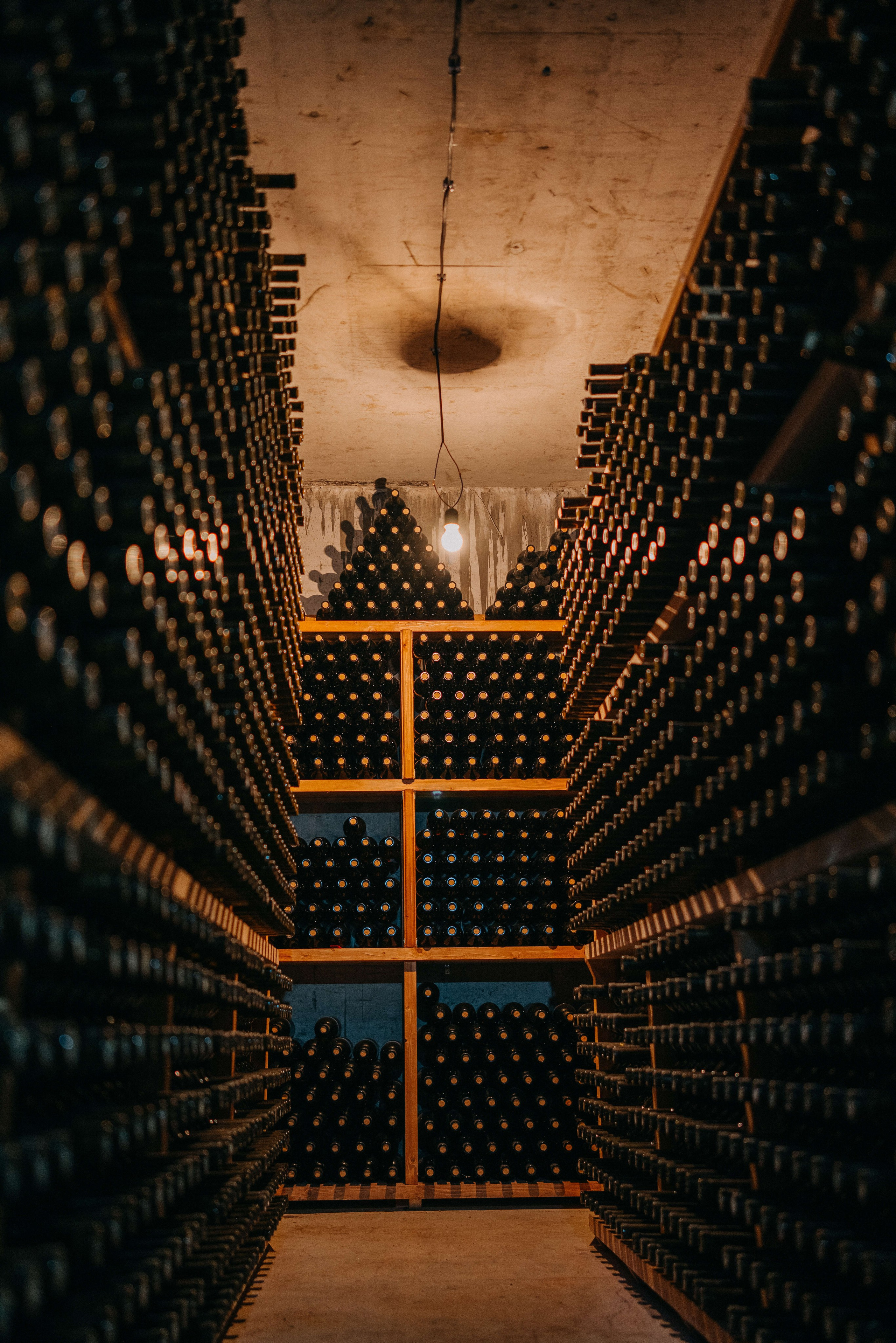 Съемка для винодельни Bakurtsokheli. Портретный и свадебный фотограф в Тбилиси • xeniqo