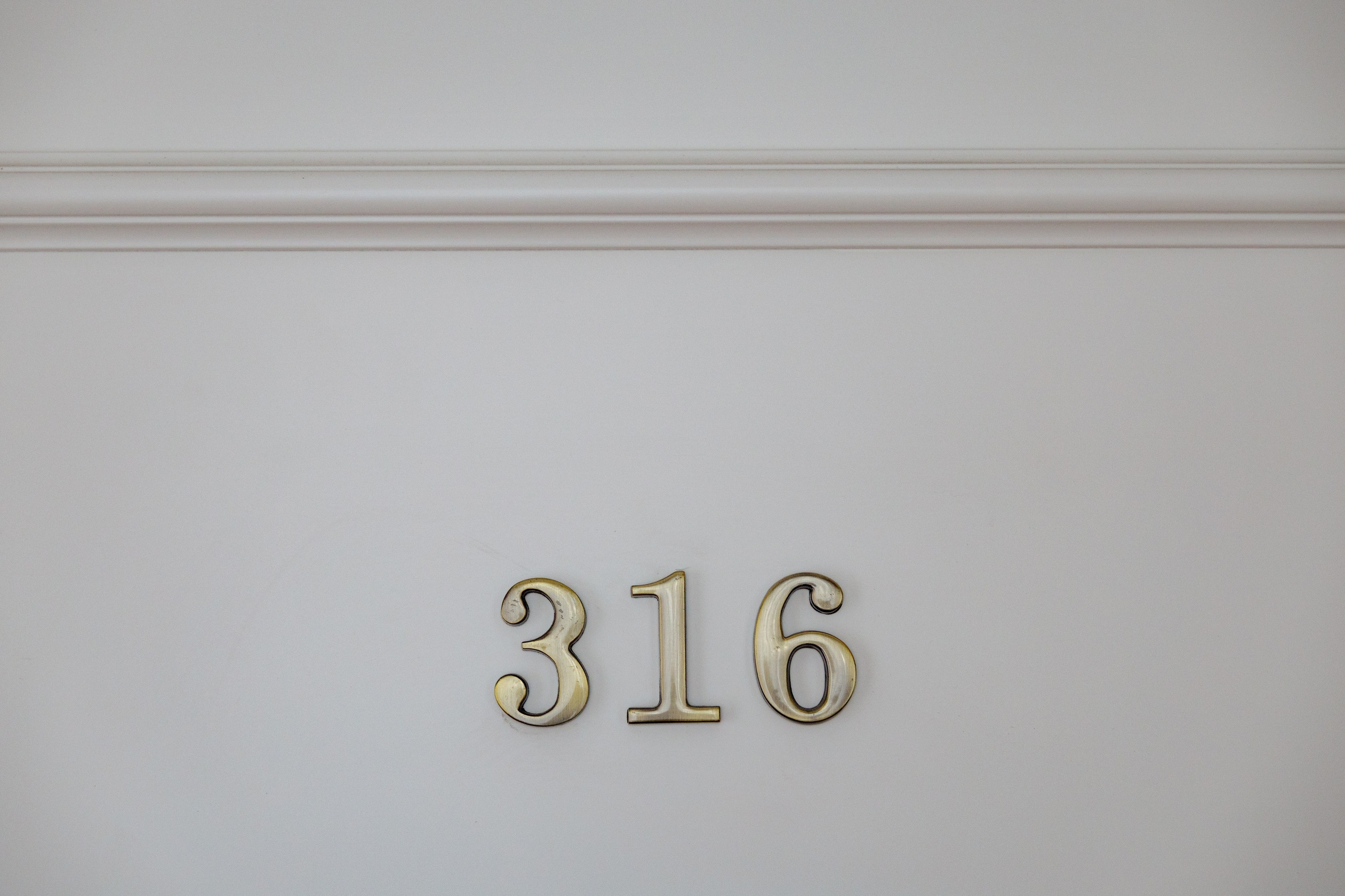 Династии и Карина. Фотограф в Москве Гришин Леонид