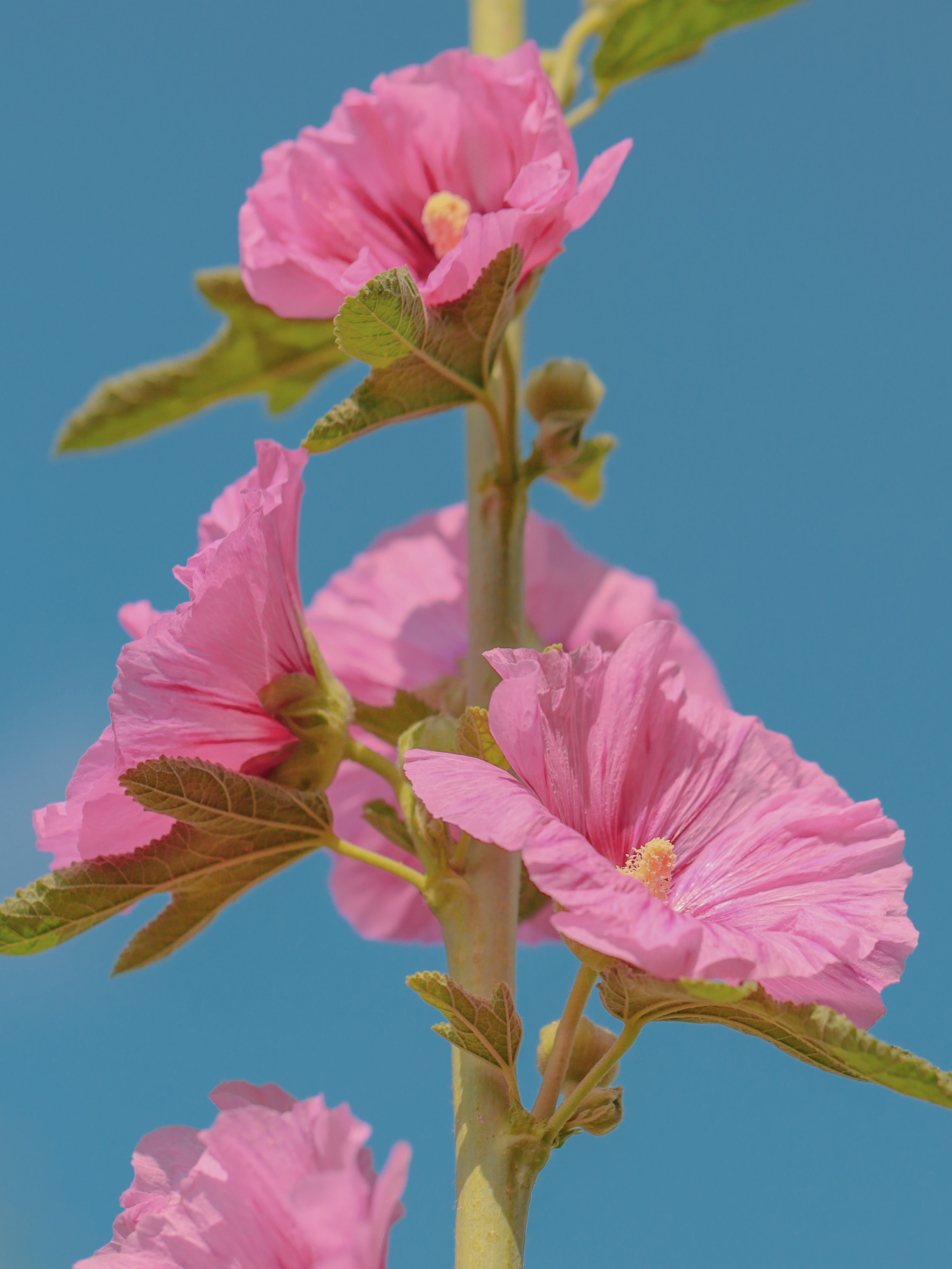 Эксперименты. Фотосессии и репортаж — Фотограф в Москве — Рина Серёгина