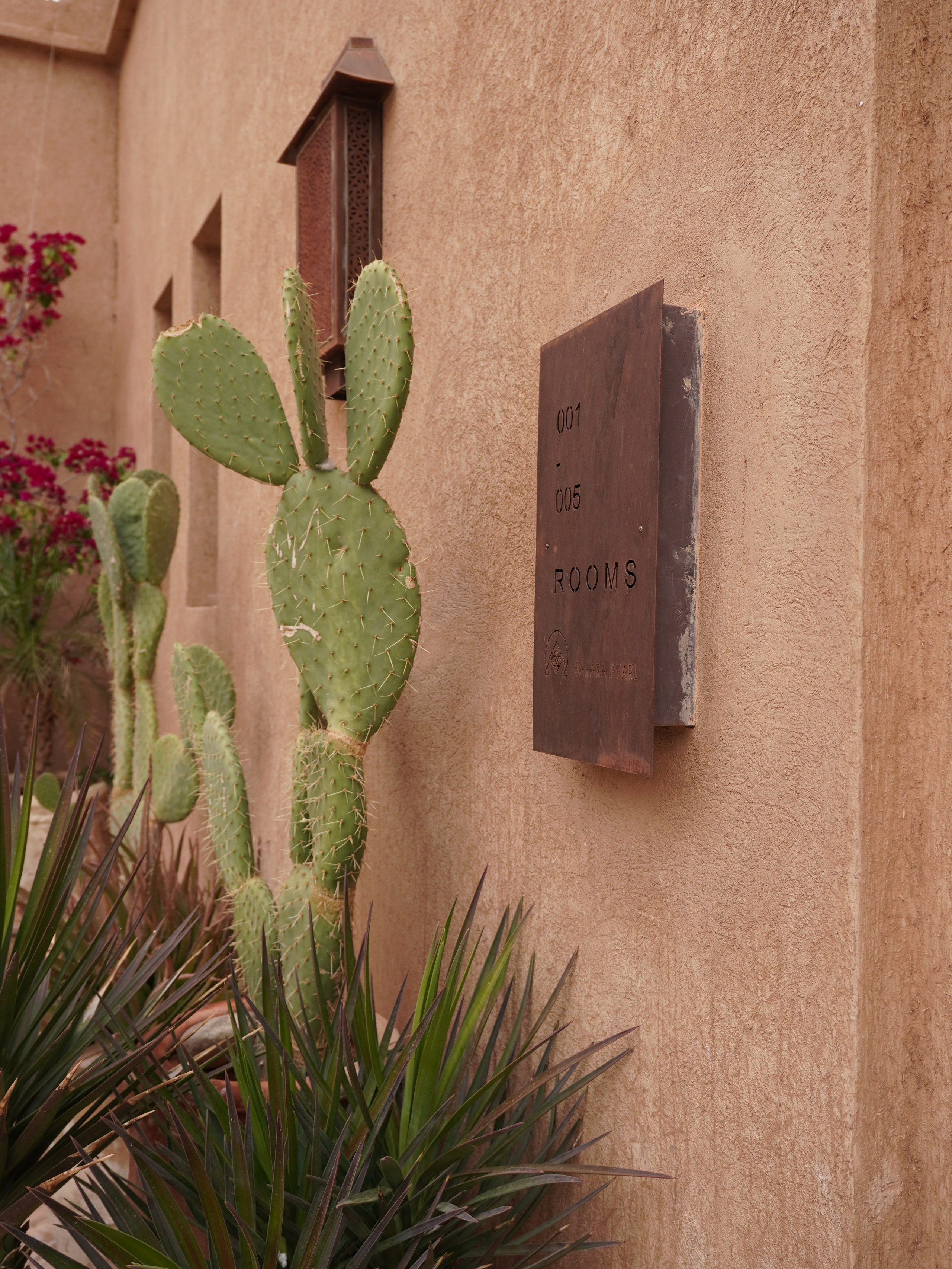 Отель Sahara Pearl. Фотограф и видеограф в Санкт-Петербурге Хромцова Людмила