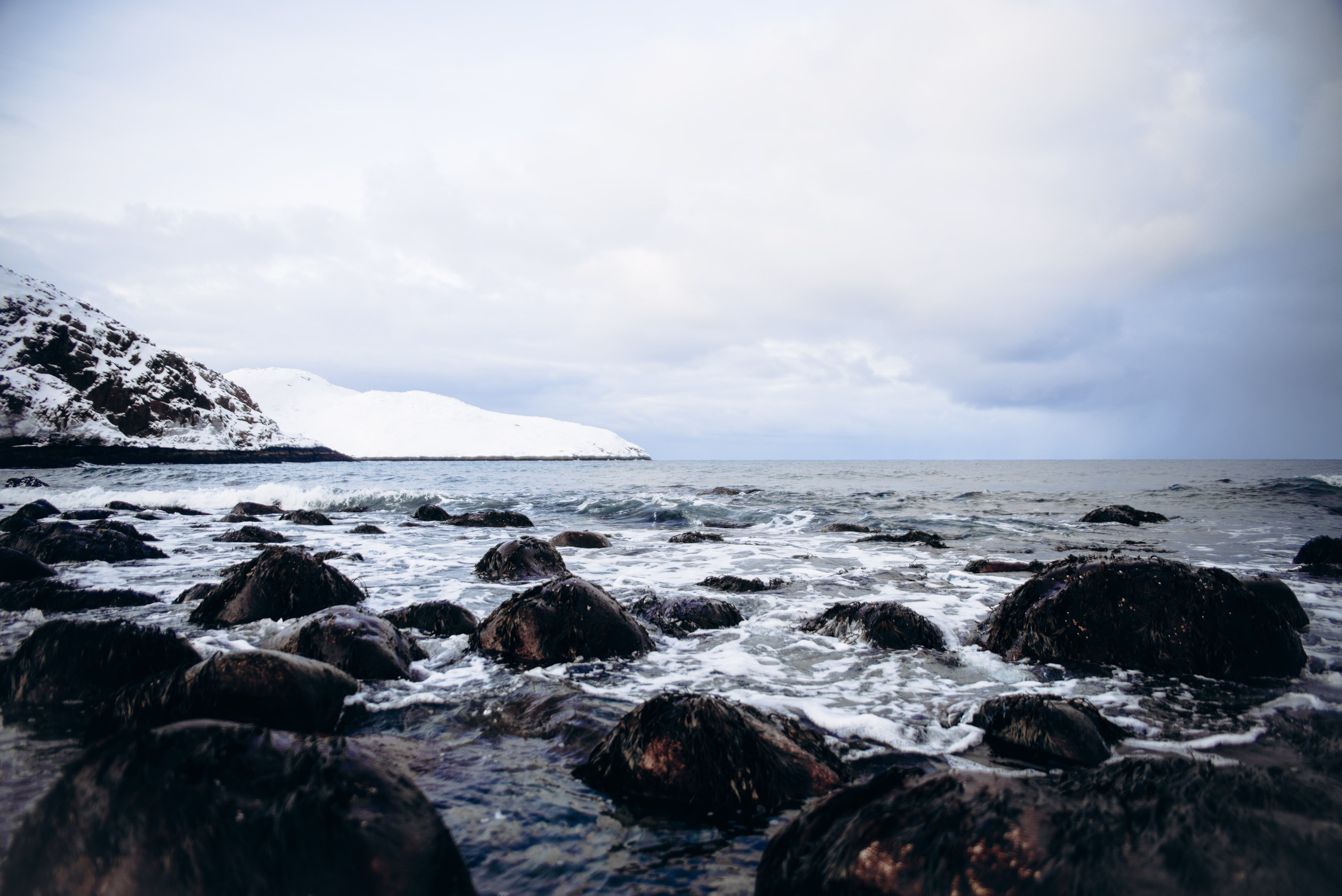 Териберка, Мурманск, Россия 🇷🇺. Anita_photo