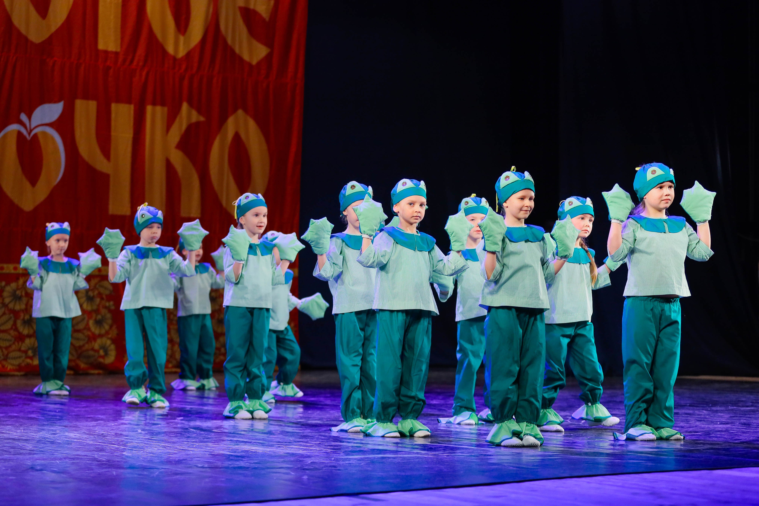 9 февраля, г. Петрозаводск. Золотое яблочко