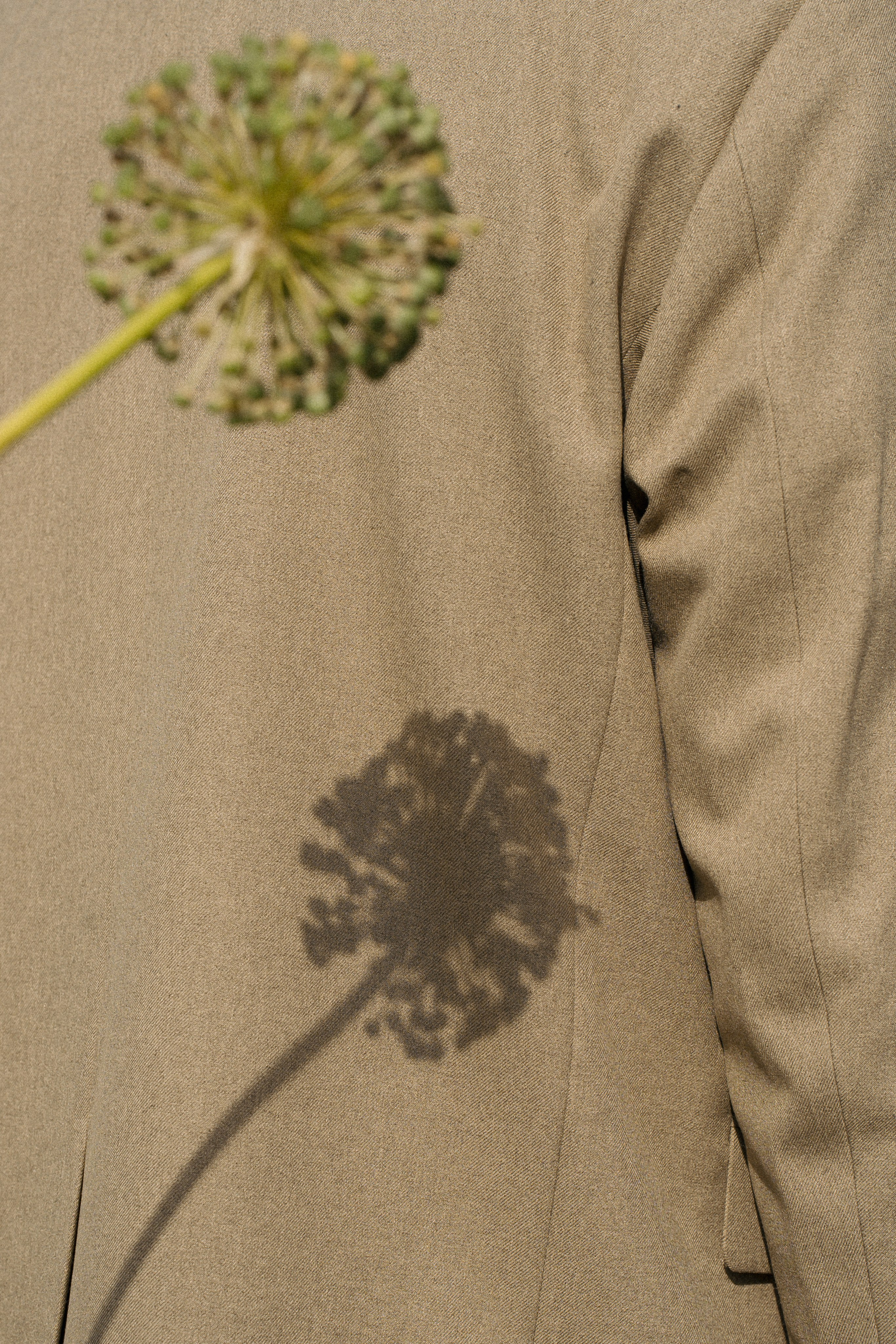 У вас все еще впереди. Свадебный фотограф Москва Светлана Анисимова