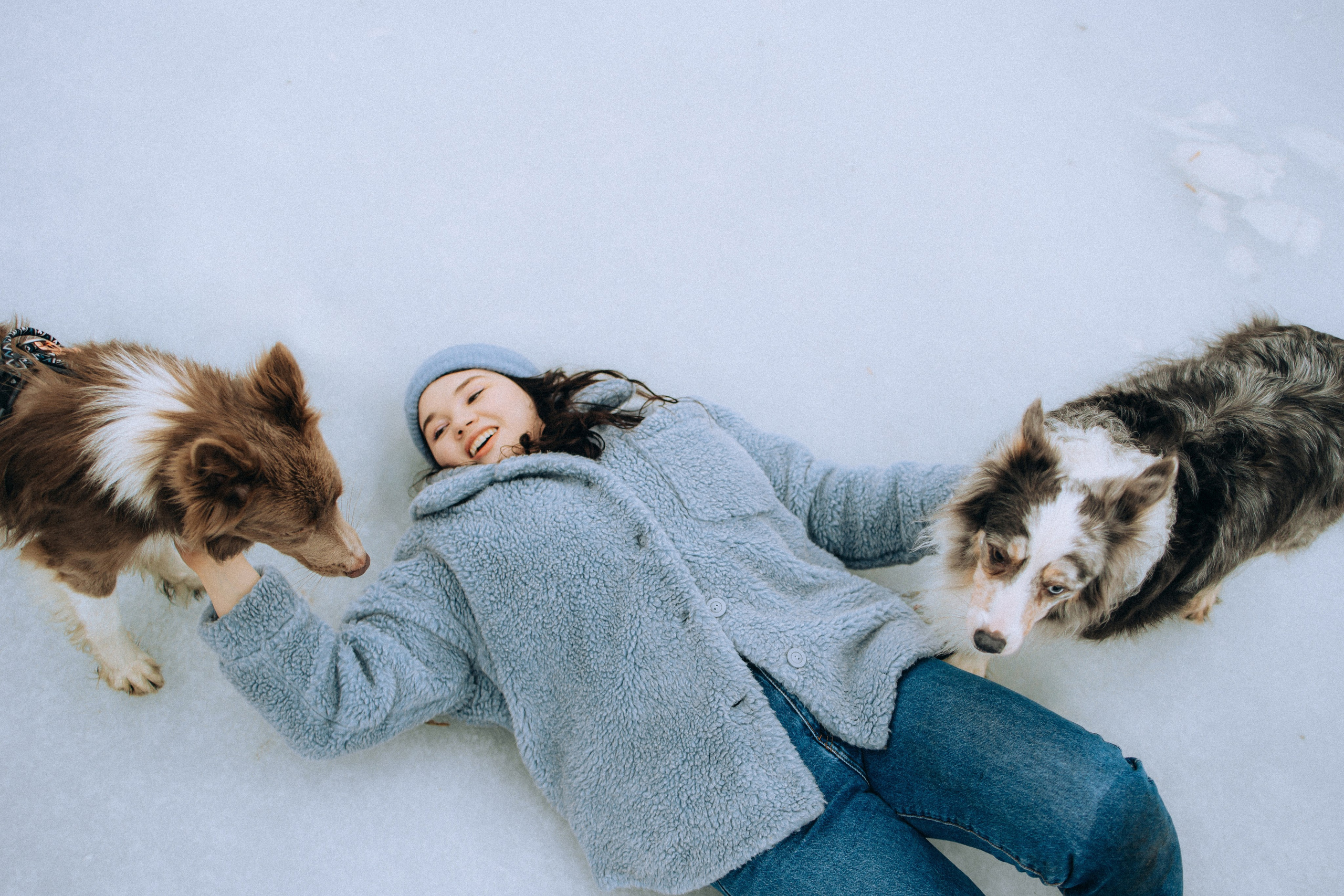 Полина, Милли и Паддингтон