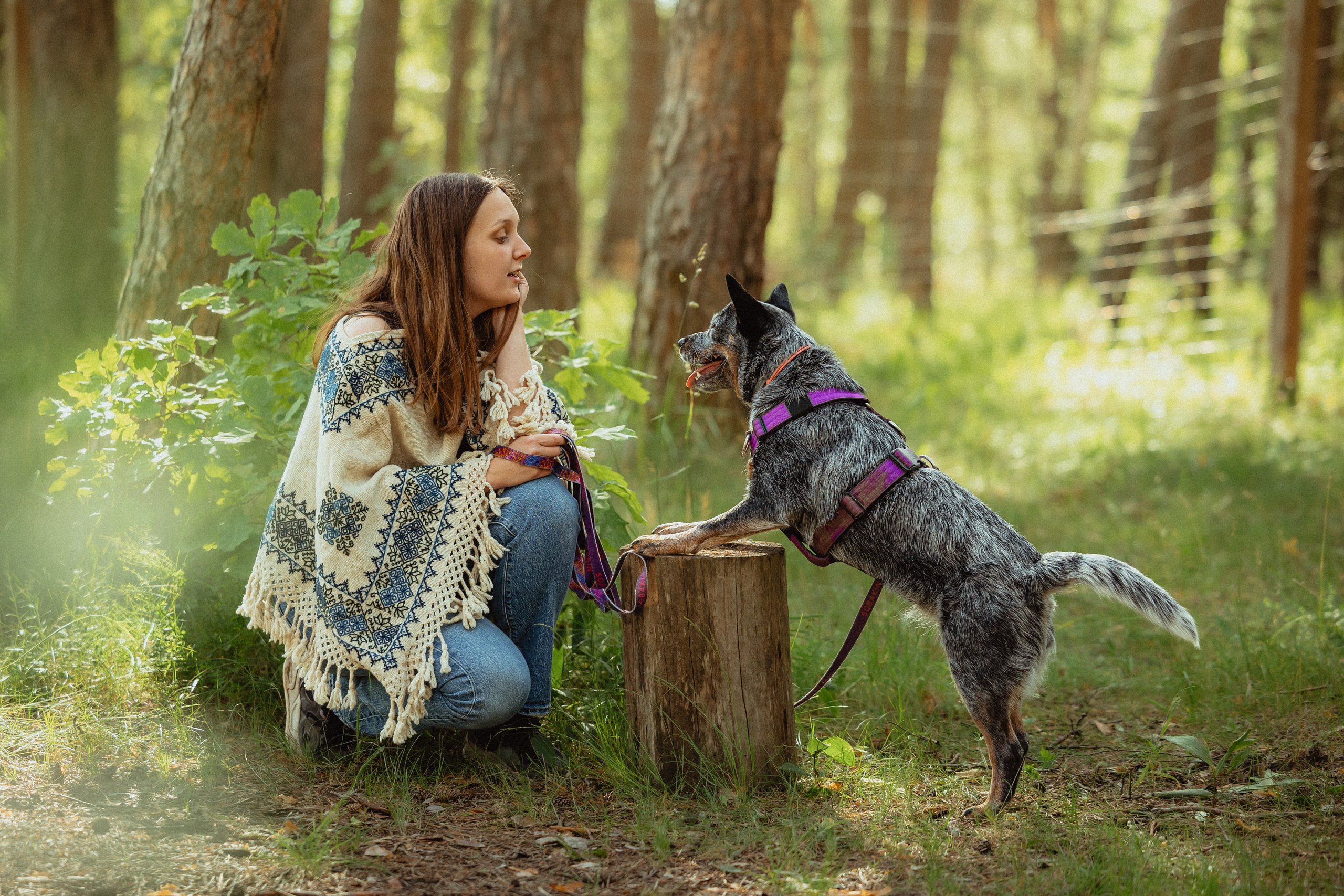 Выездной дог-тренинг от школы «Шерсть имею»