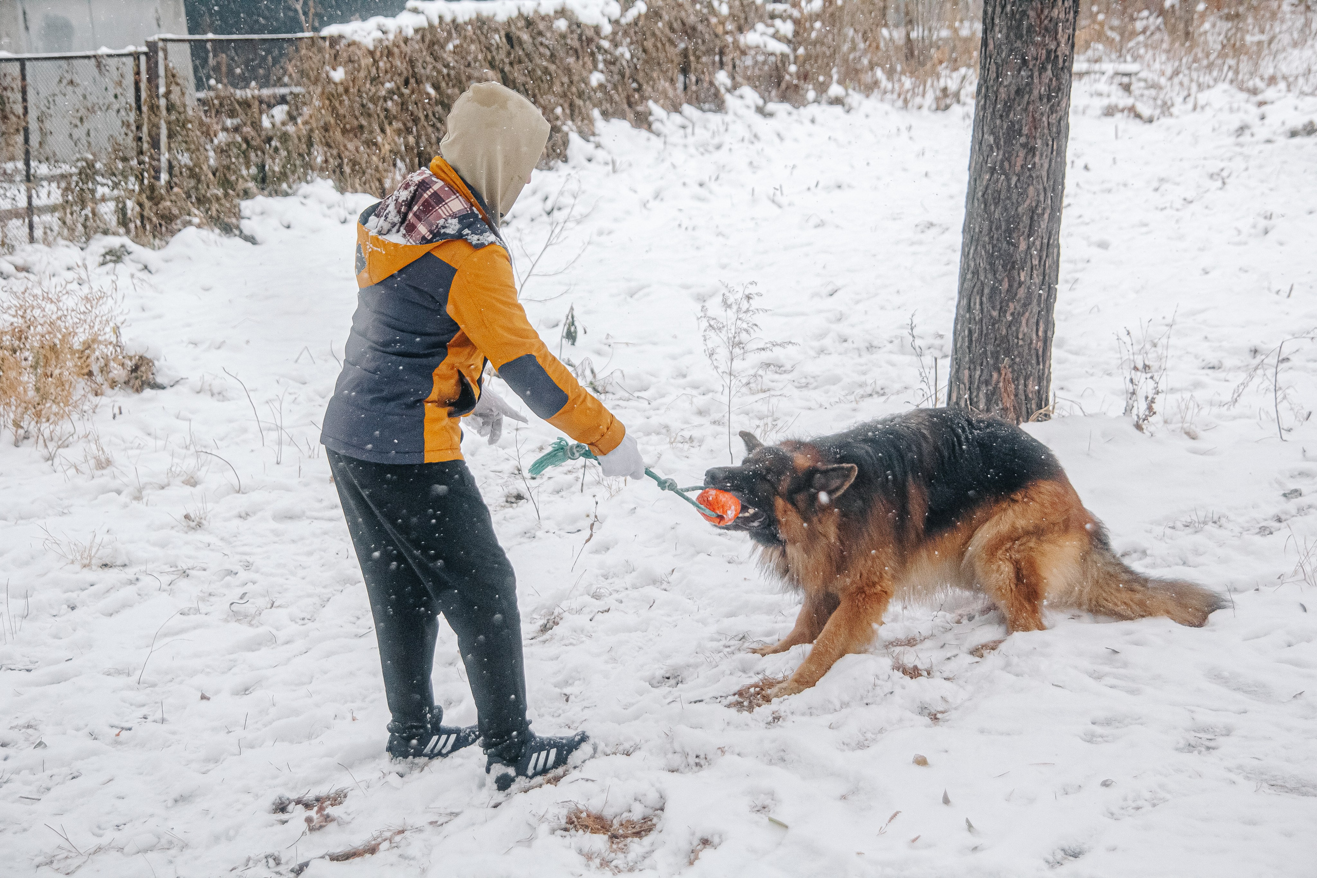 Первый снег 24. Фотограф в Хабаровске Юлия Чванова
