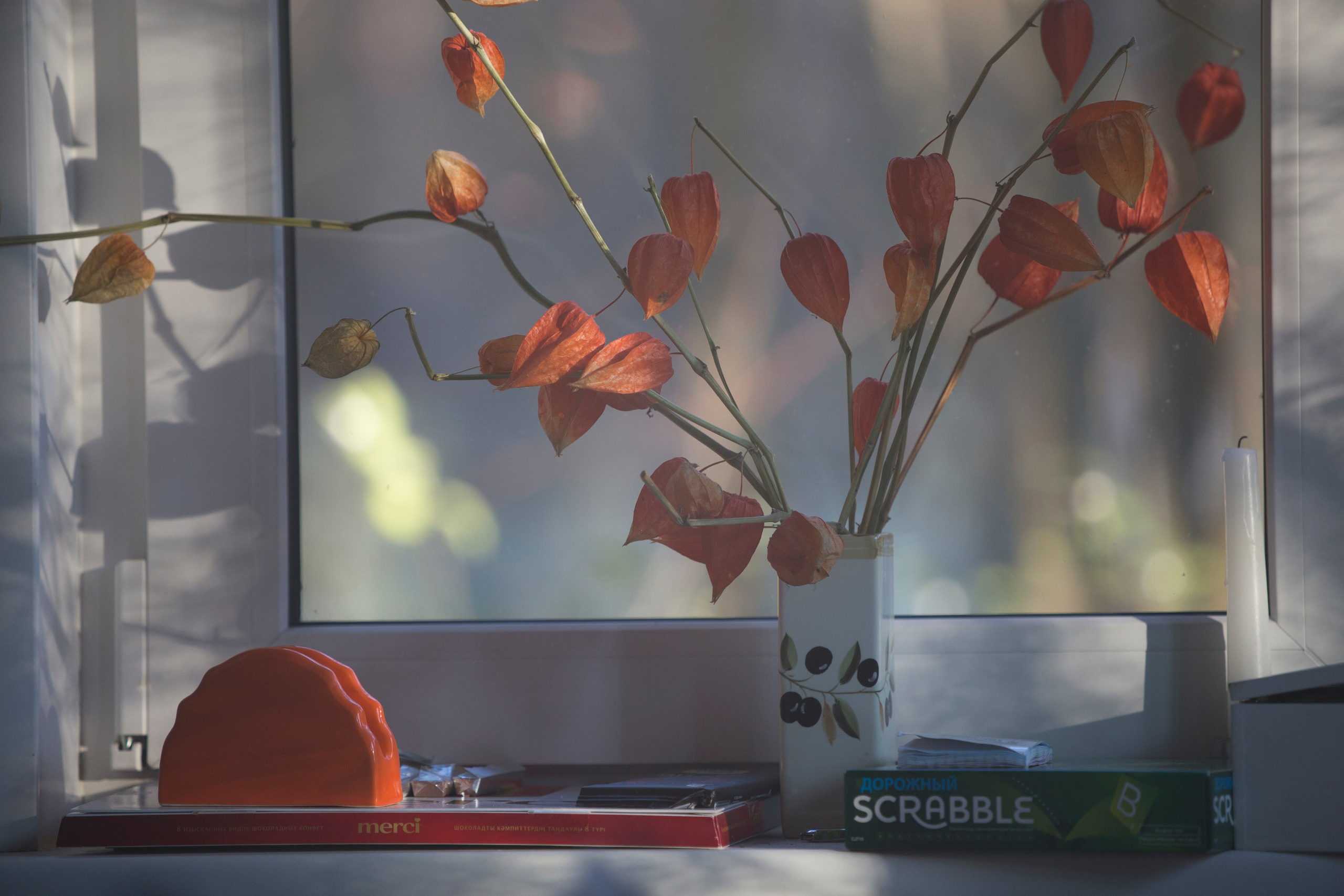 Фото. Фотограф Лагутин Анатолий