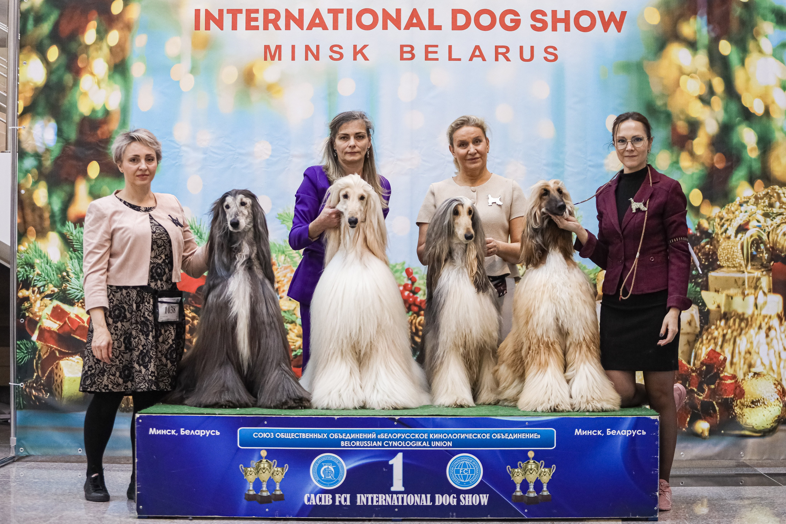 Международная выставка собак СACIB FCI 29-30.11.2025. Галерея фотографий афганской борзой