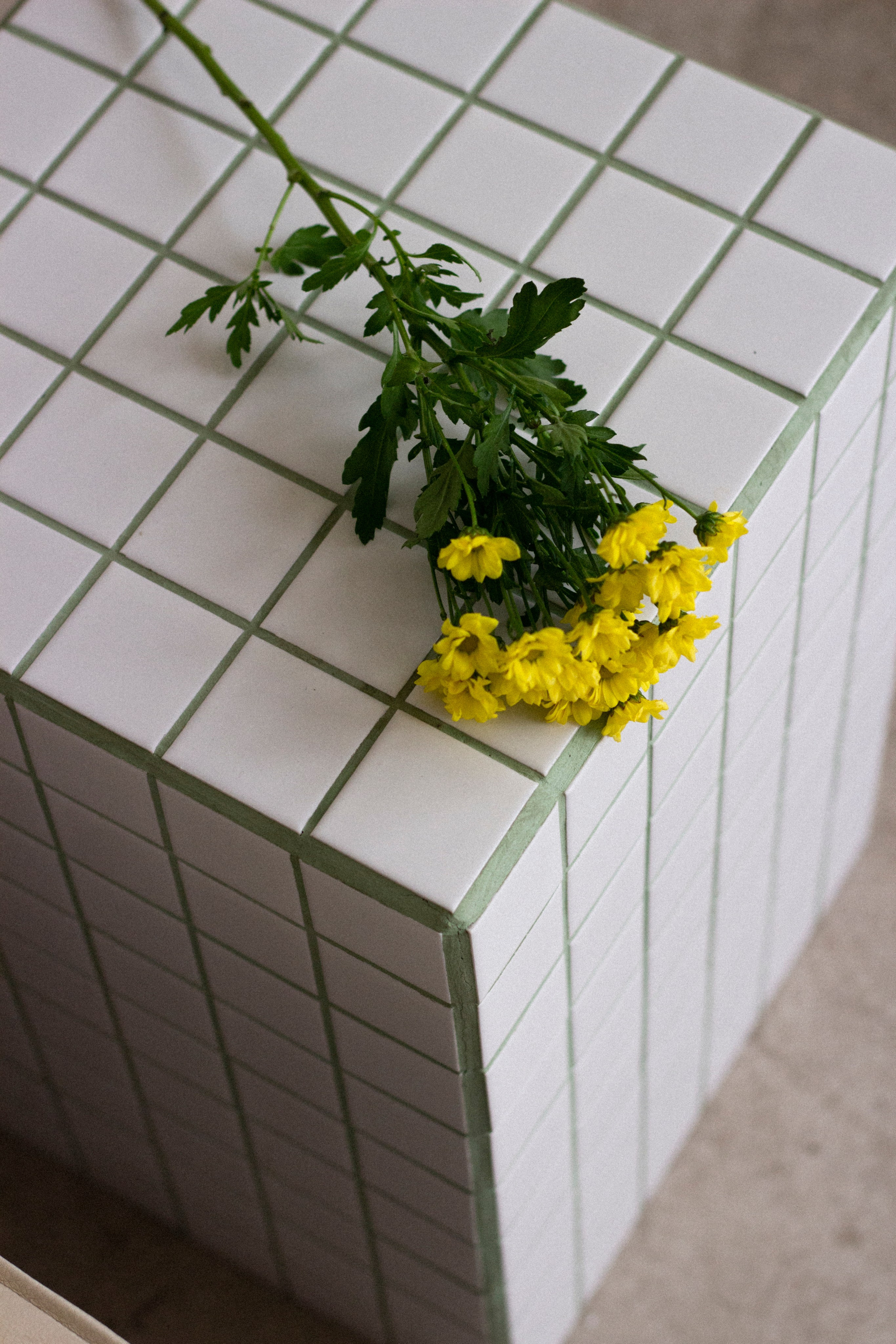 Ани. Фотограф в Санкт-Петербурге Смирнова Диана