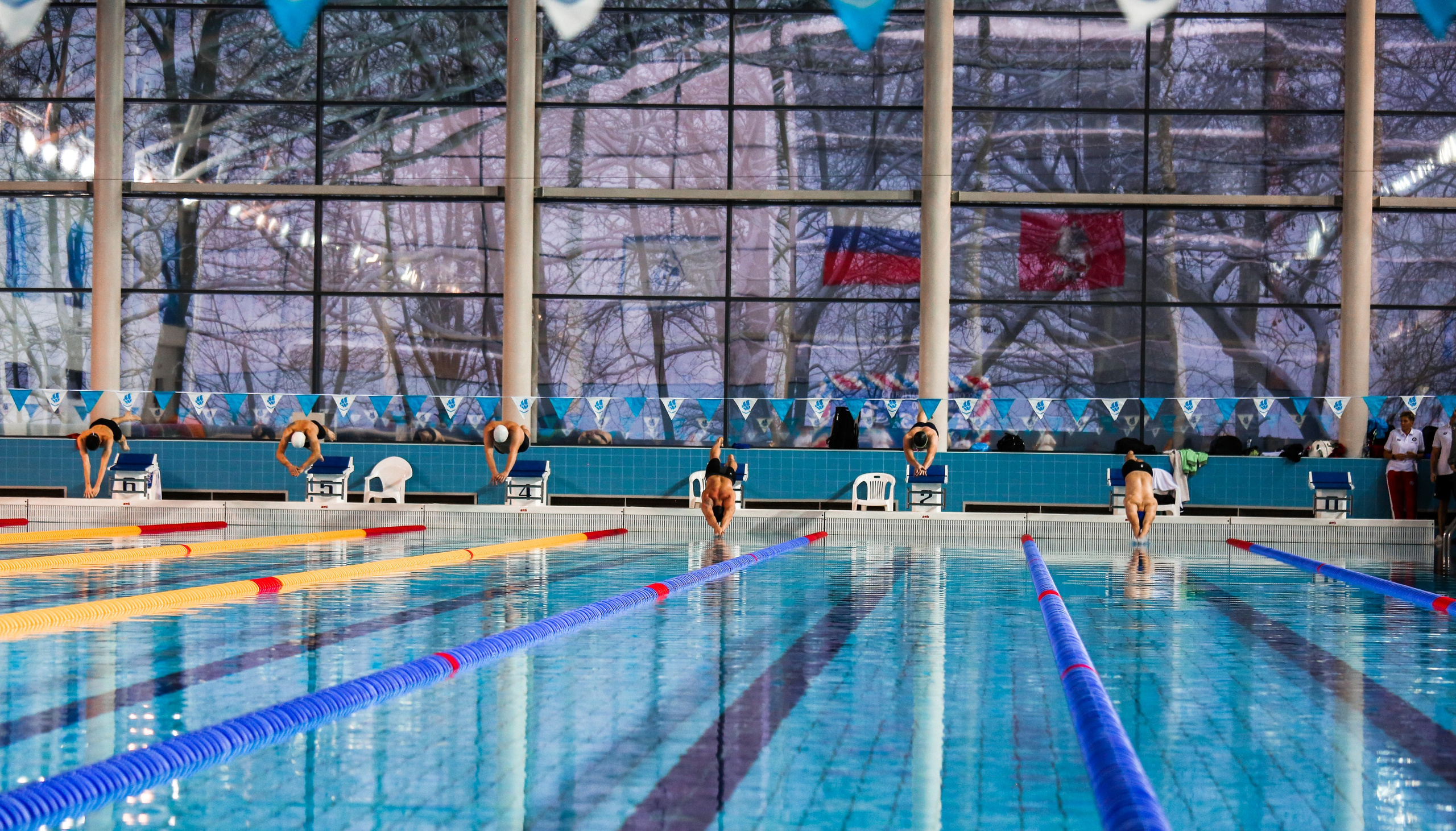 Соревнования по плаванию. Репортажный, семейный, свадебный, портретный фотограф