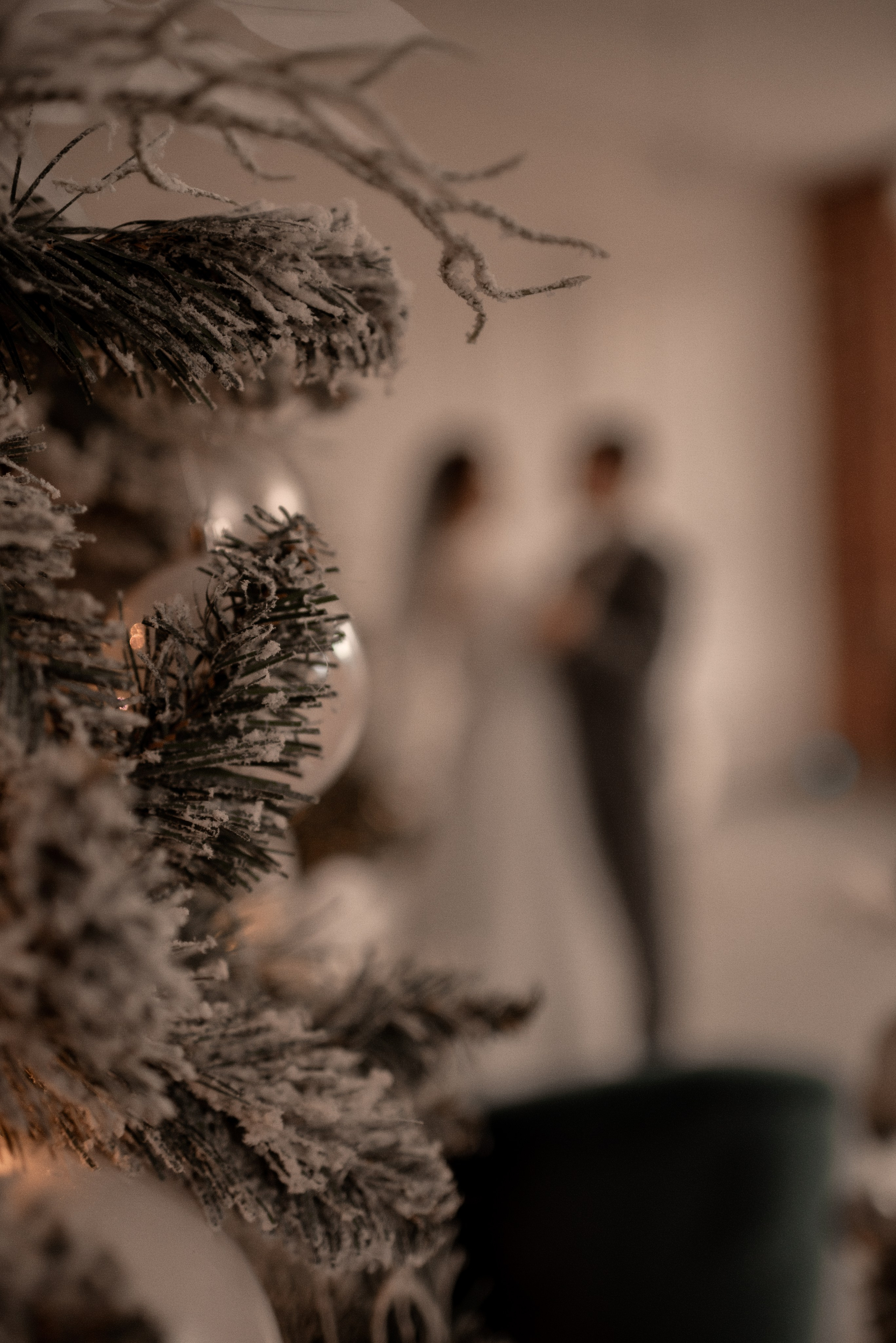 Сергей и Виктория. Свадебный и семейный фотограф в Серпухове Александра Дерюшева