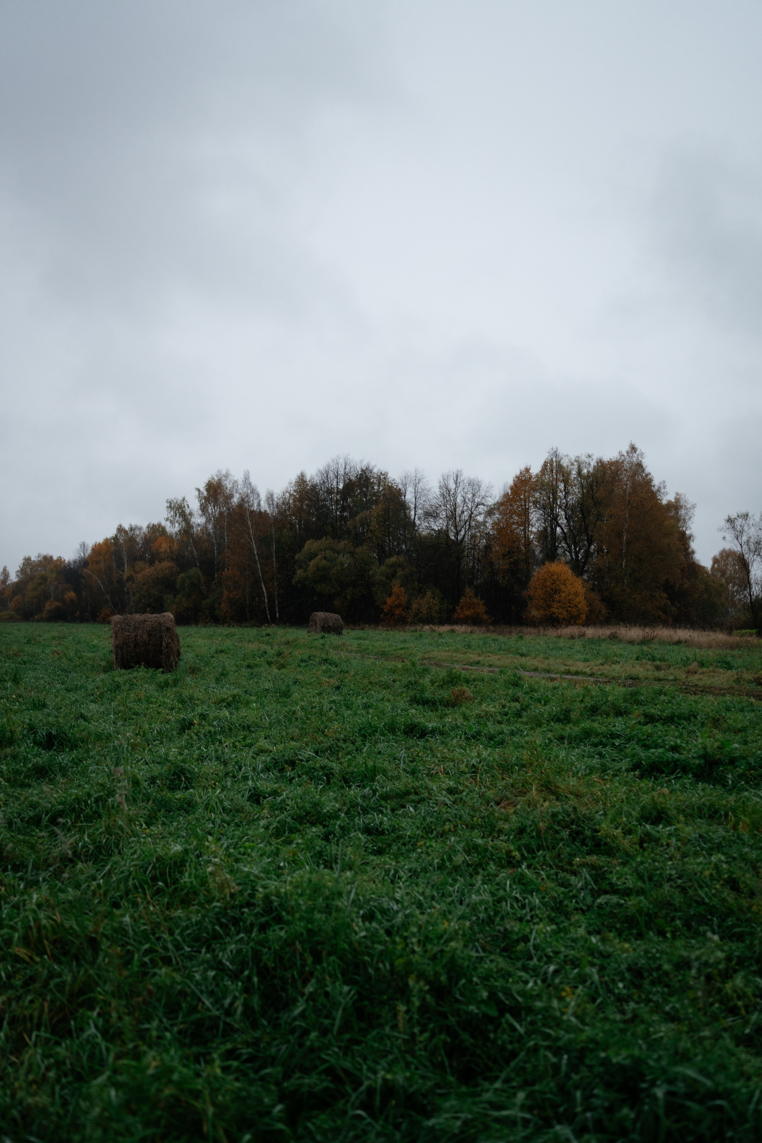 Деревня Китаево. Vlad Trykov