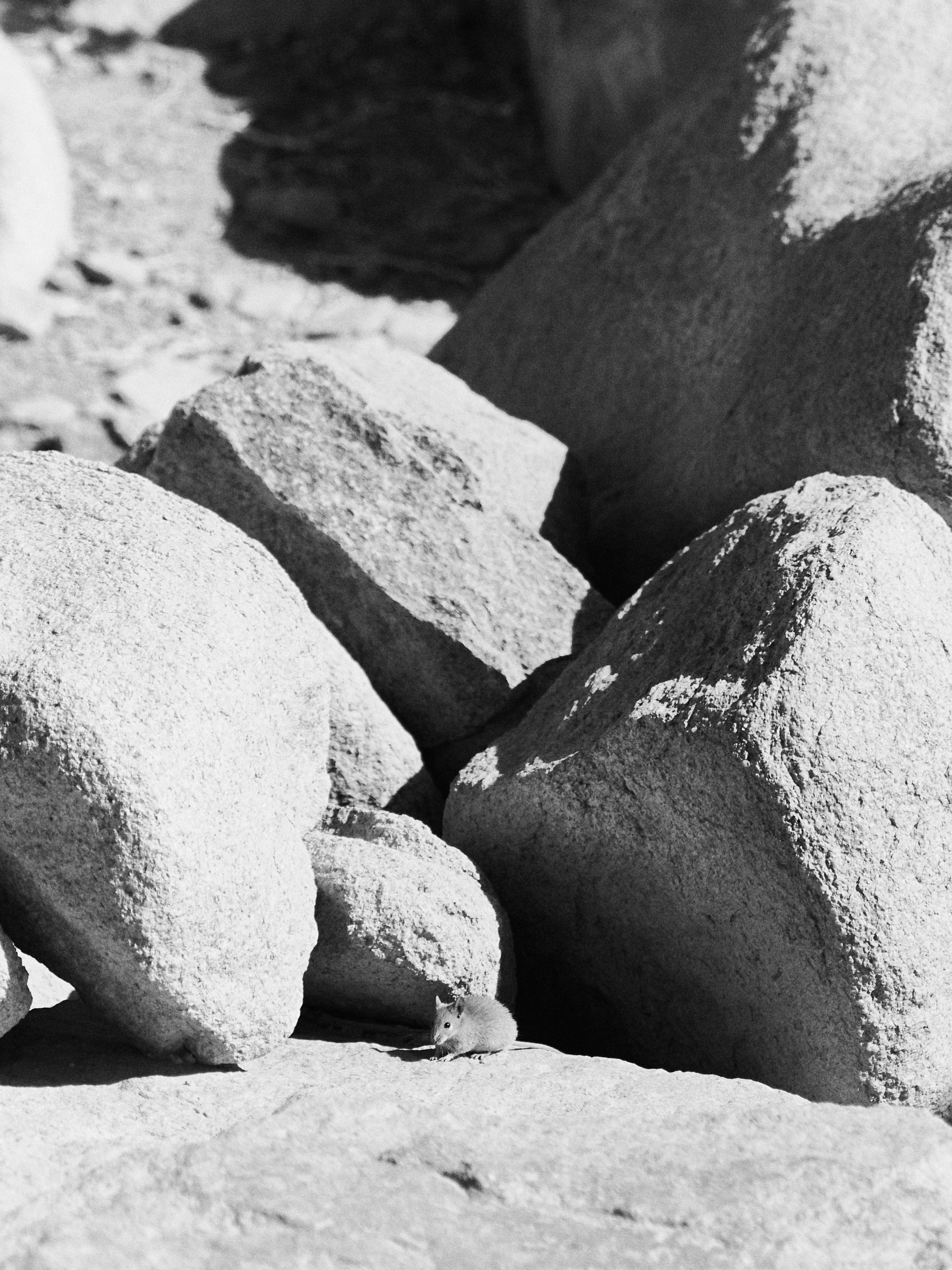 B&W. Jorgis — фотограф в Хургаде / обучение фотографии