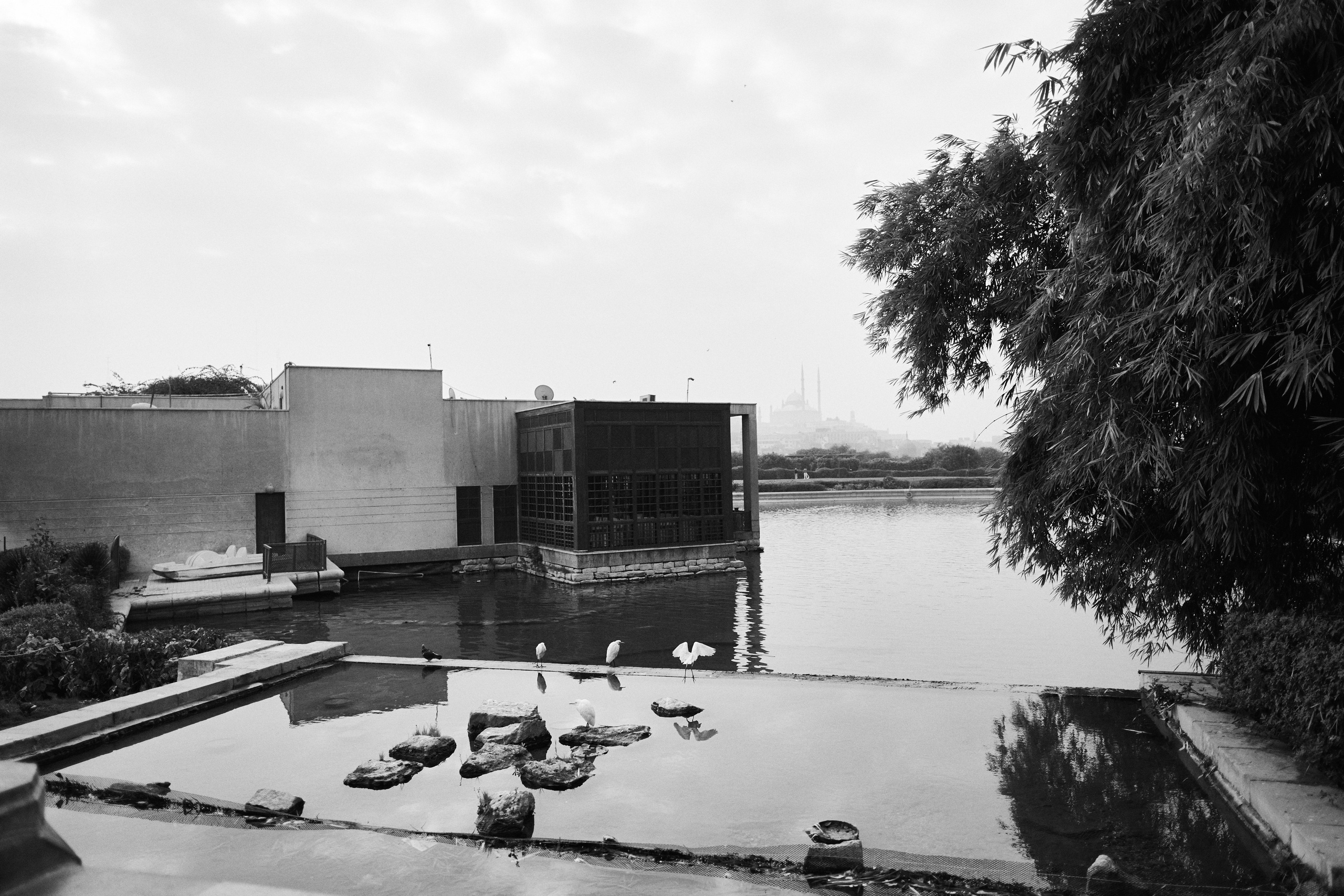 Другое 4. Jorgis — фотограф в Хургаде / обучение фотографии