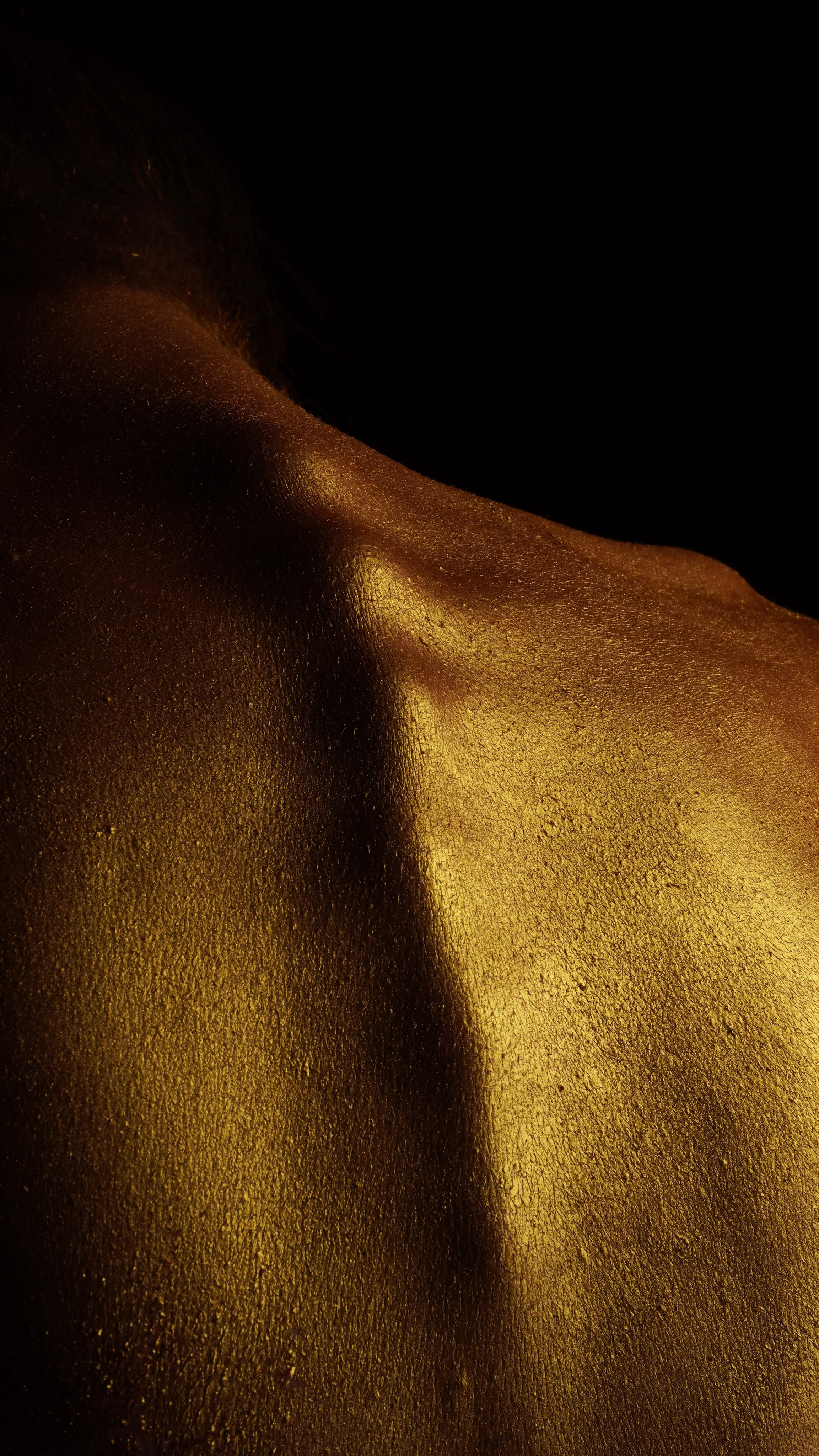 Art. Мужской портретный фотограф и художник — A.S