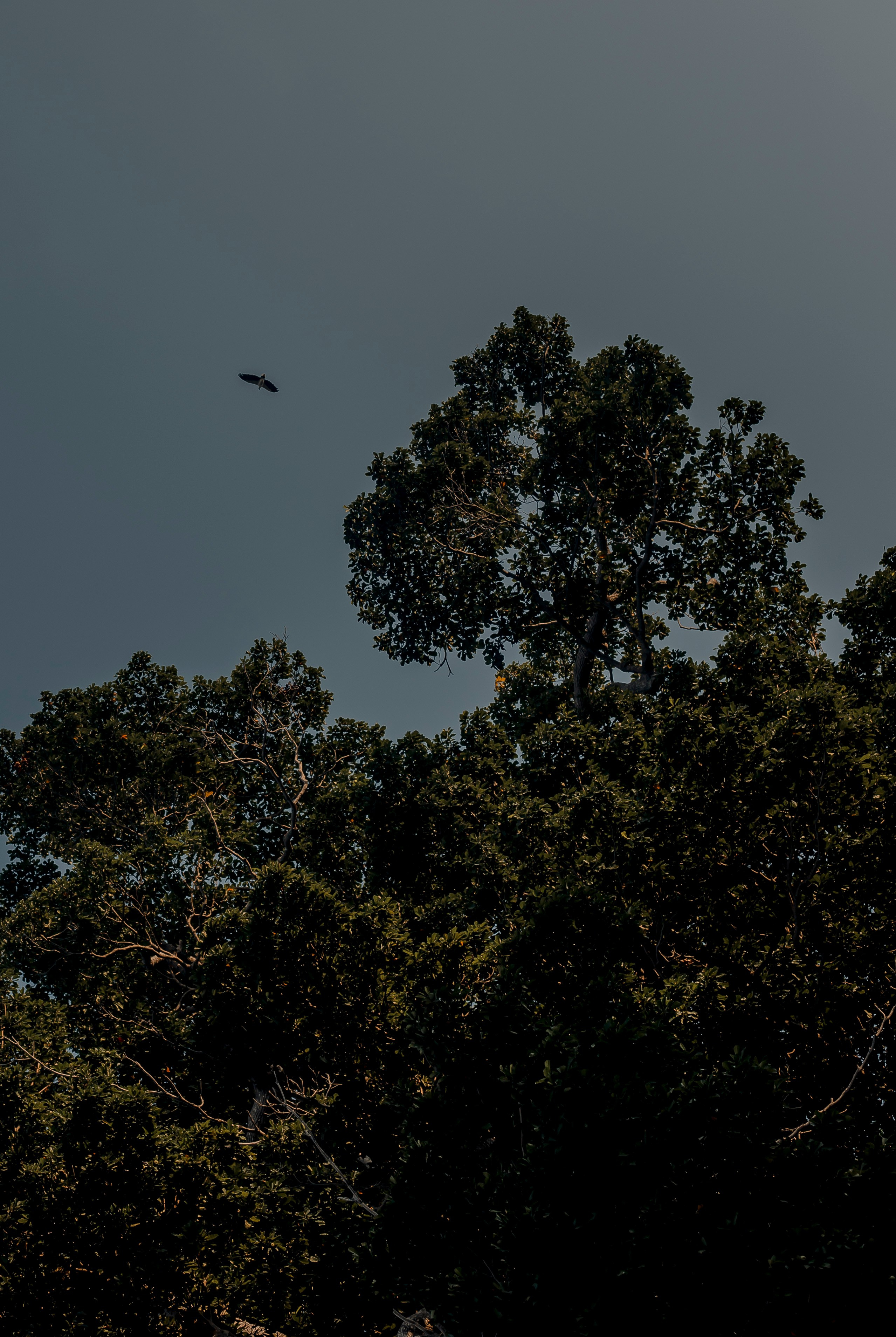 Andaman Islands, Part2. Art Photographer