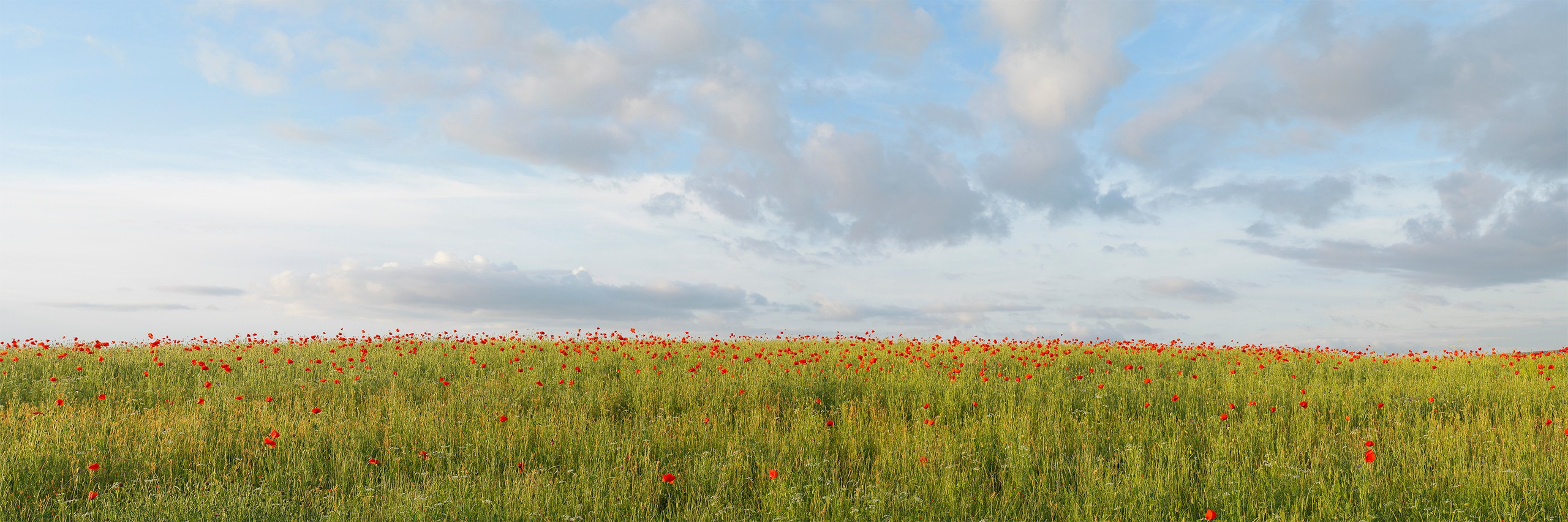 Landscape. Vasiliy Riabovol – Fine Art Photography | Zeit, Raum und Stille