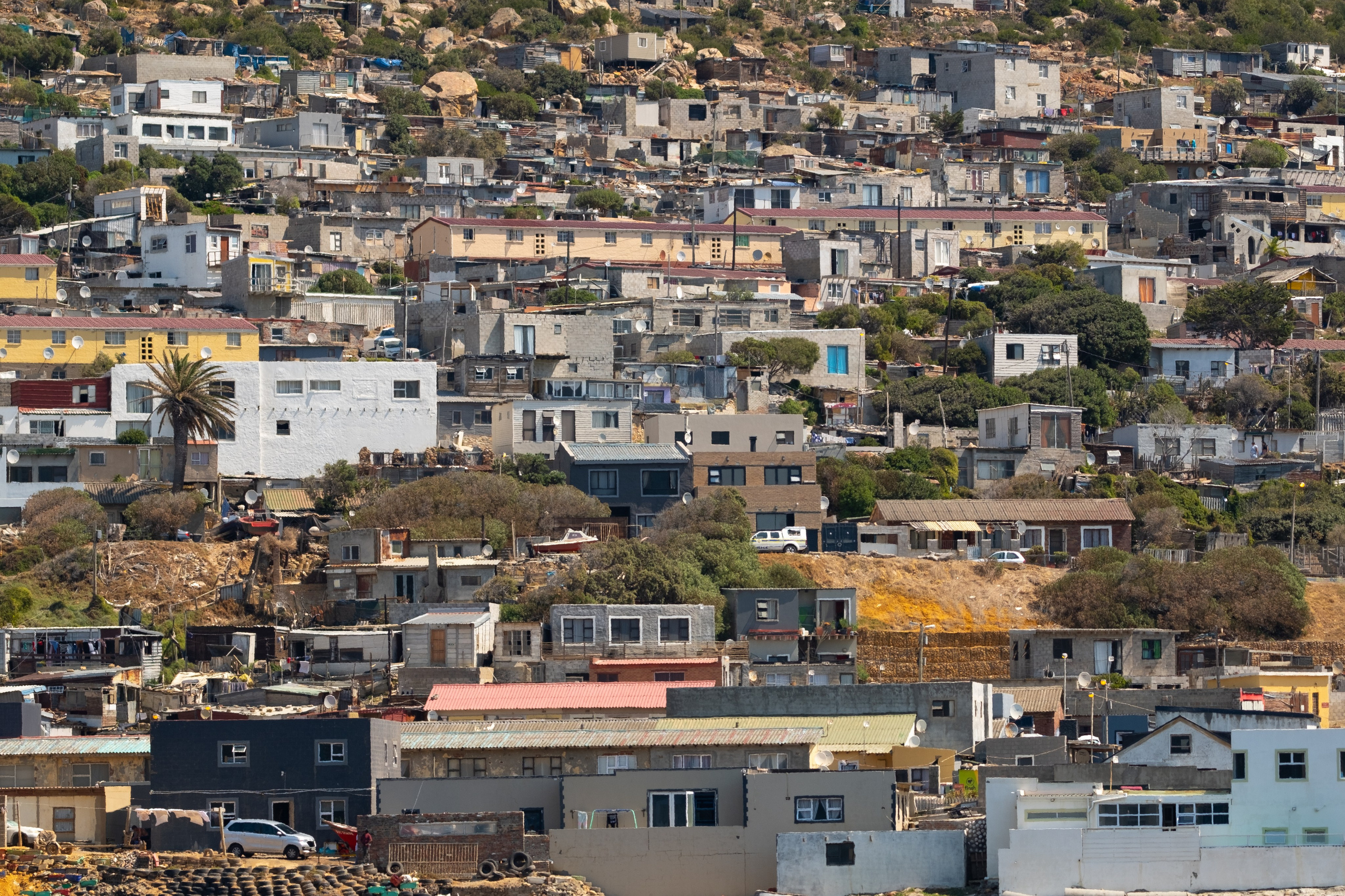 Морские котики и закат. Фотографии из путешествий