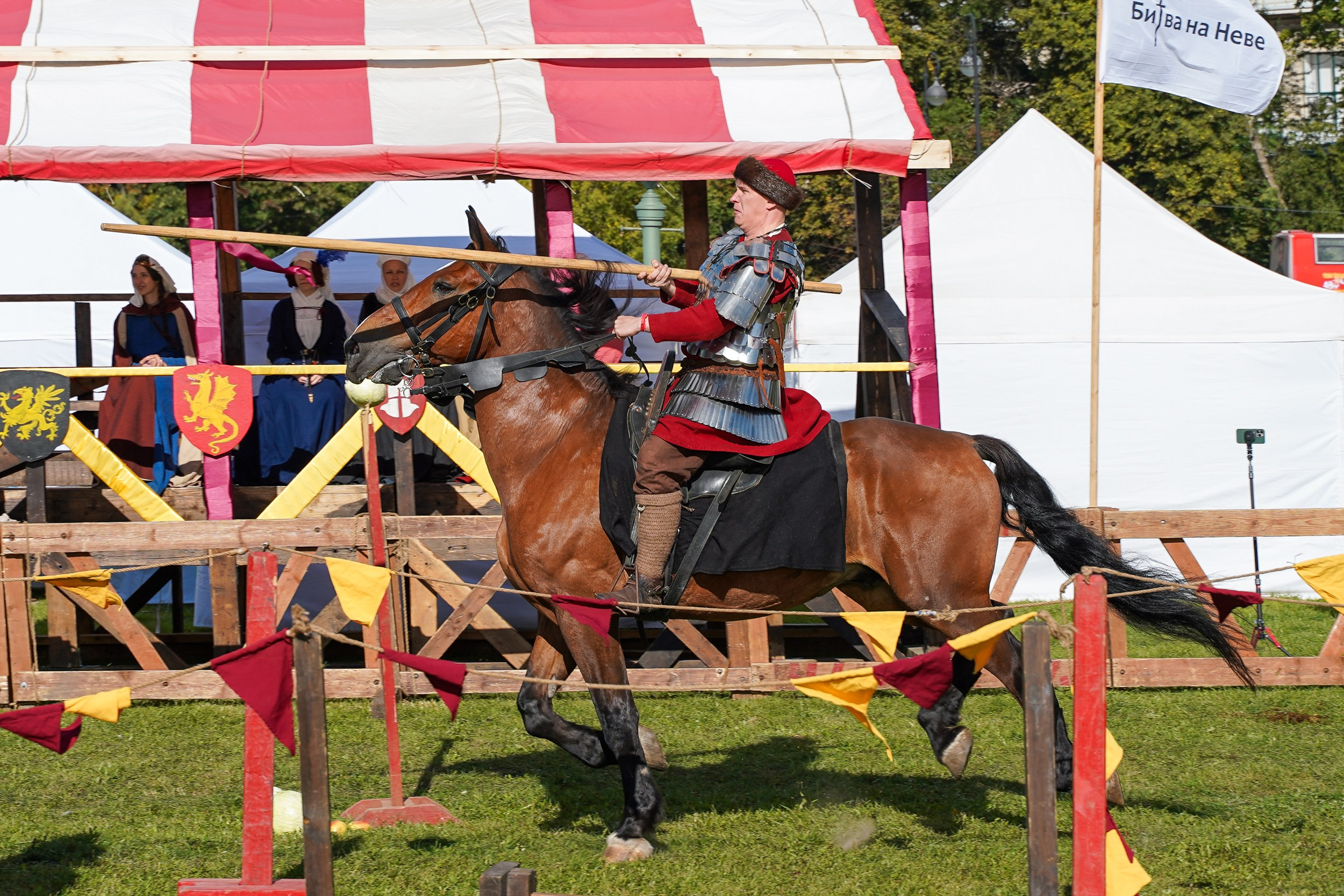 Рыцарский турнир в рамках фестиваля «Битва на Неве» Санкт-Петербург 2024 г. Фотограф-анималист, портретный фотограф в Чебоксарах Мария Садыкова