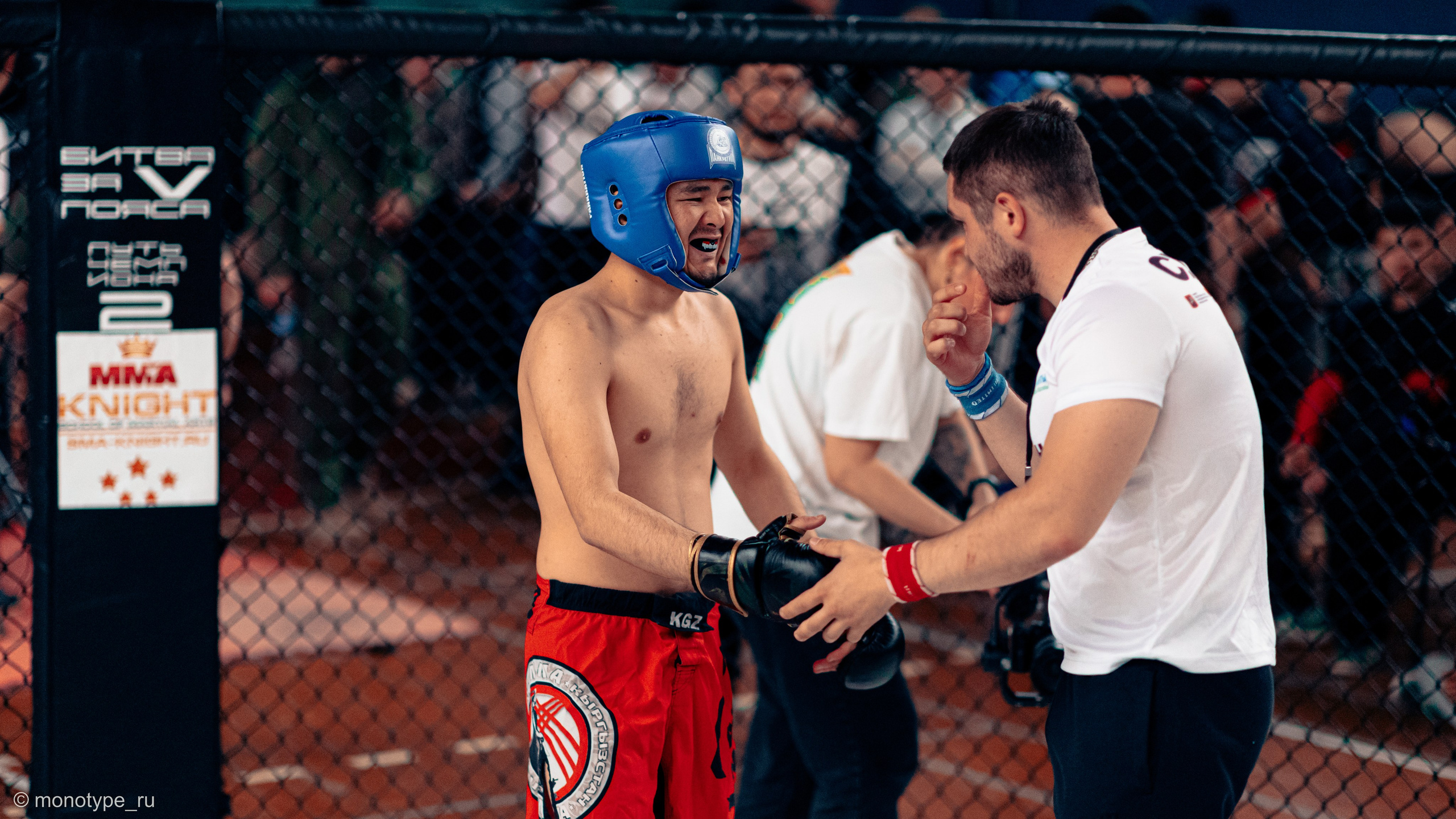 MMA. Бойцовский турнир