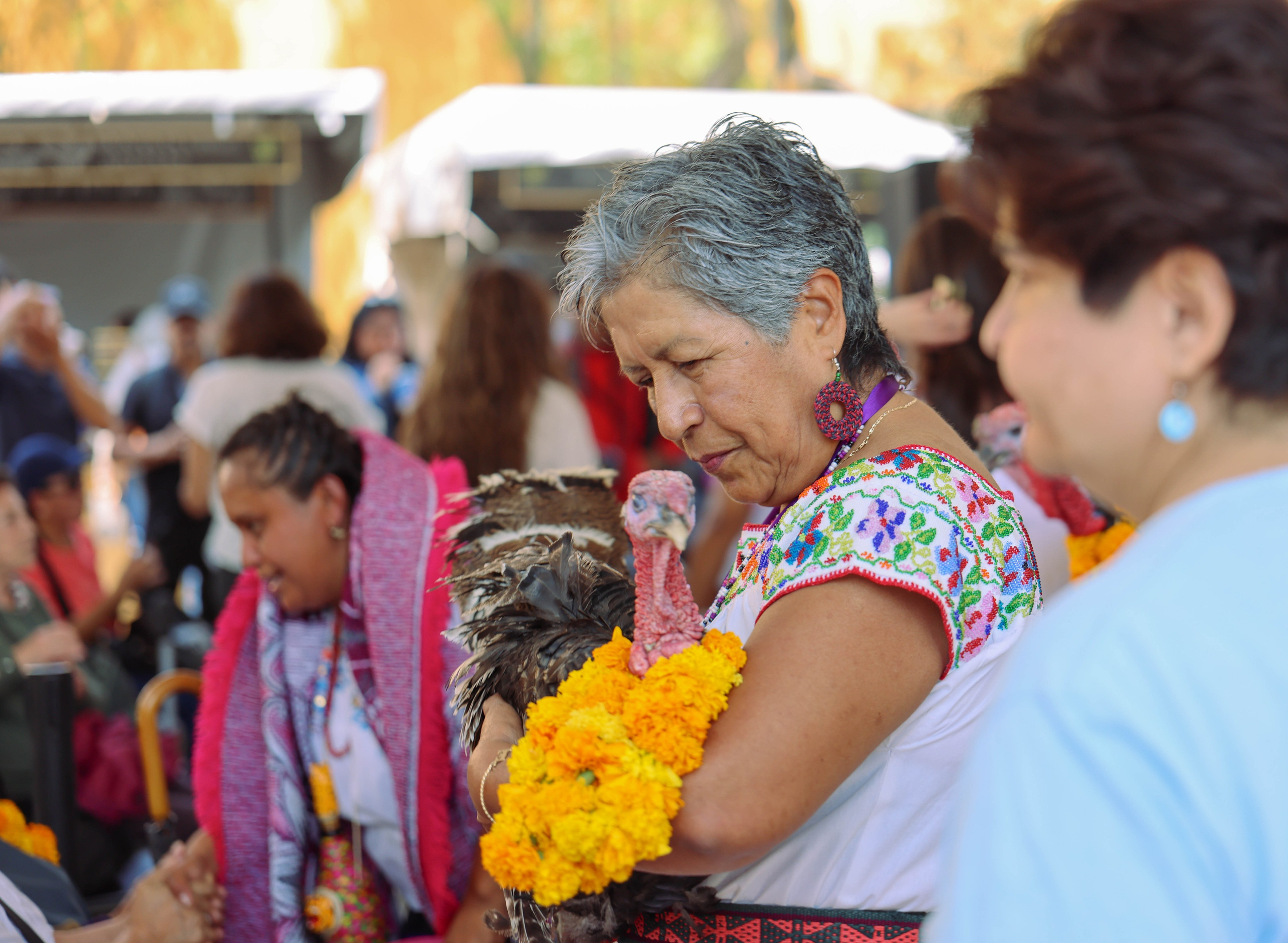 Фестиваль Герреро. Kateserbina