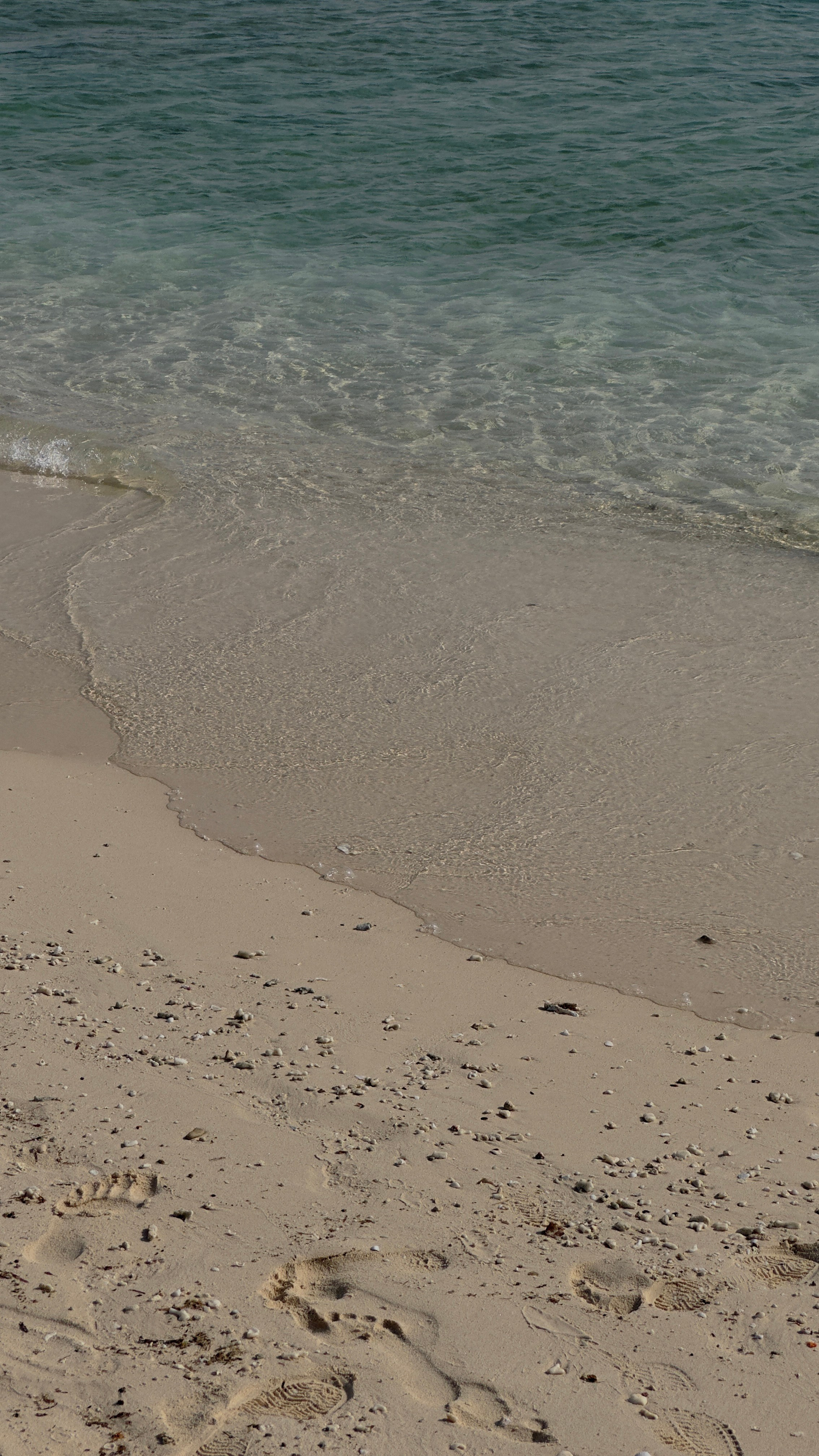 Портфолио. Фотограф Елизавета Наумова