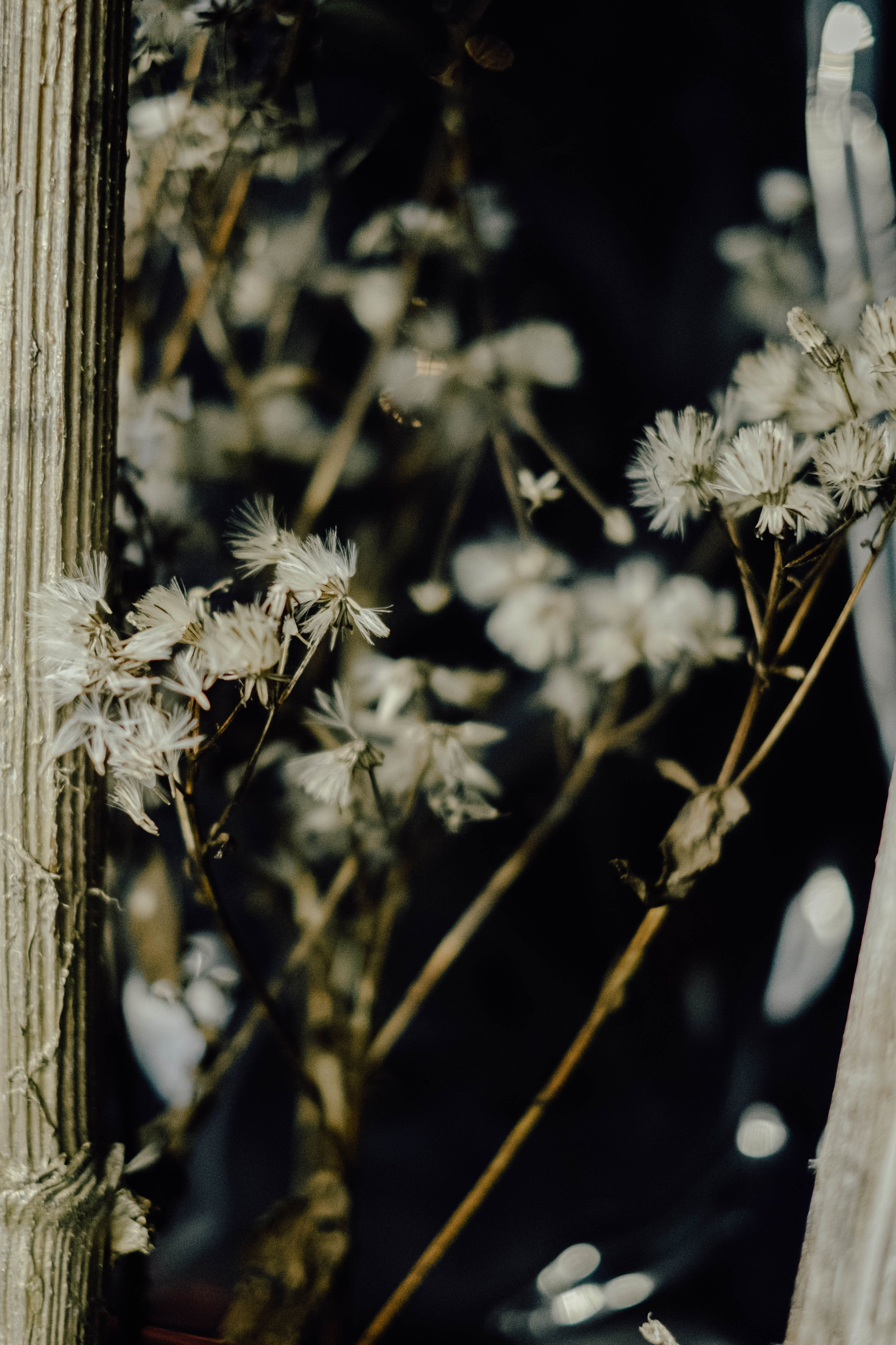 «52 герца». Фотограф Аннё| Москва